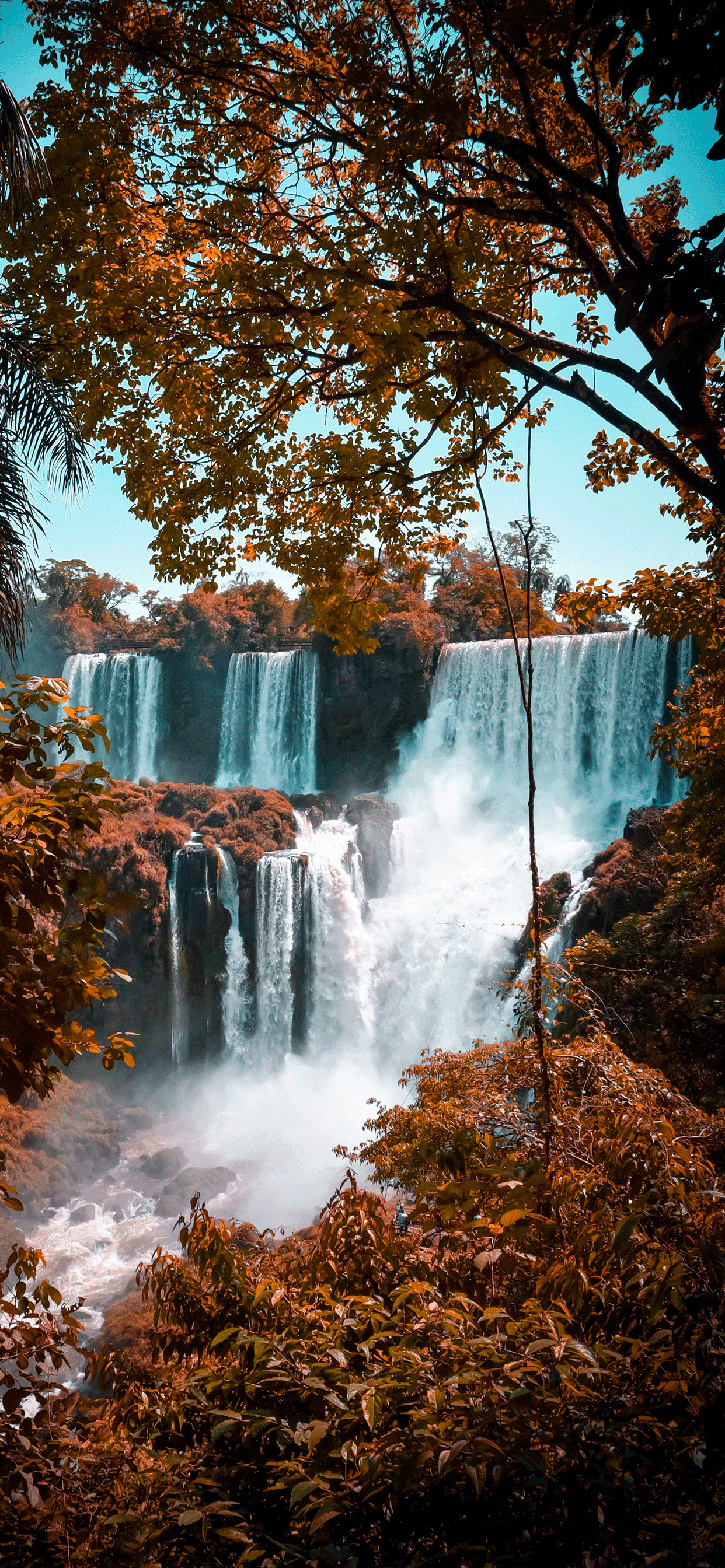 Iguazu Falls, Breathtaking views, iPhone wallpaper, Stunning landscapes, 1250x2690 HD Handy