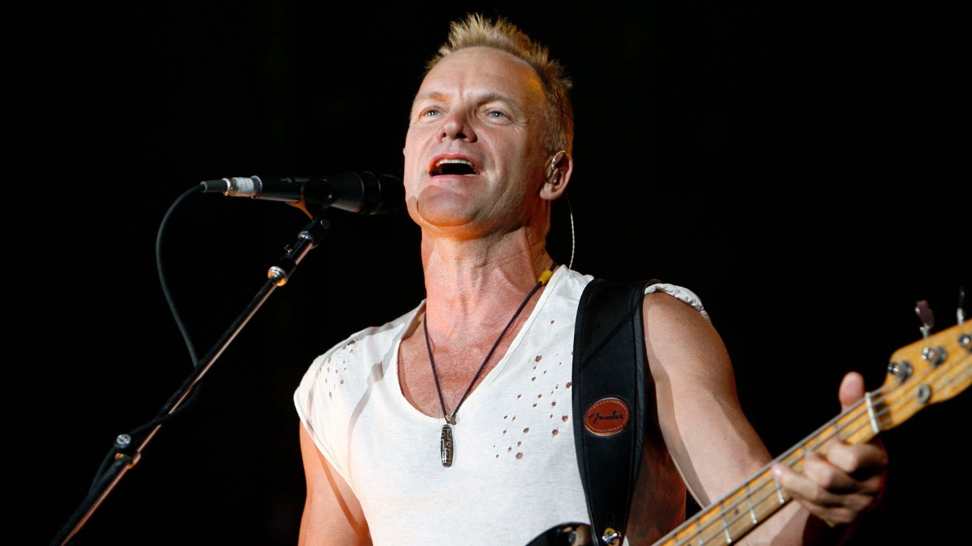 Sting, Musician wallpapers, Wide selection, 1920x1080 Full HD Desktop