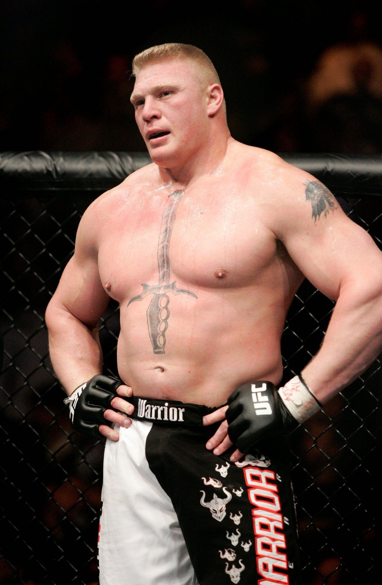 Mixed Martial Arts: Brock Edward Lesnar, The only person to hold all of the primary heavyweight championships. 1310x2000 HD Background.