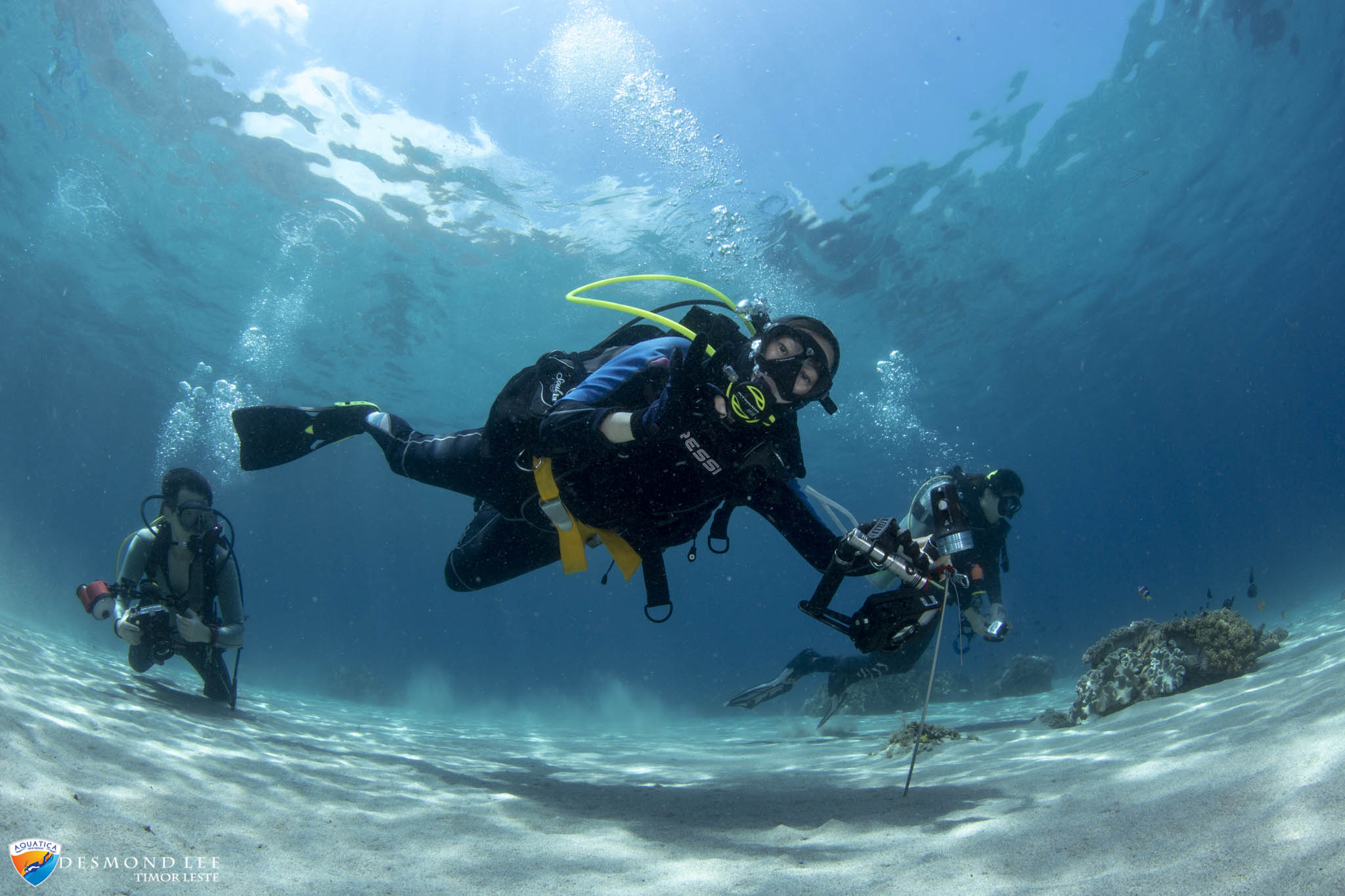 Diving: Scuba divers explore the bottom for recreational and a bit scientific purposes. 2050x1370 HD Wallpaper.