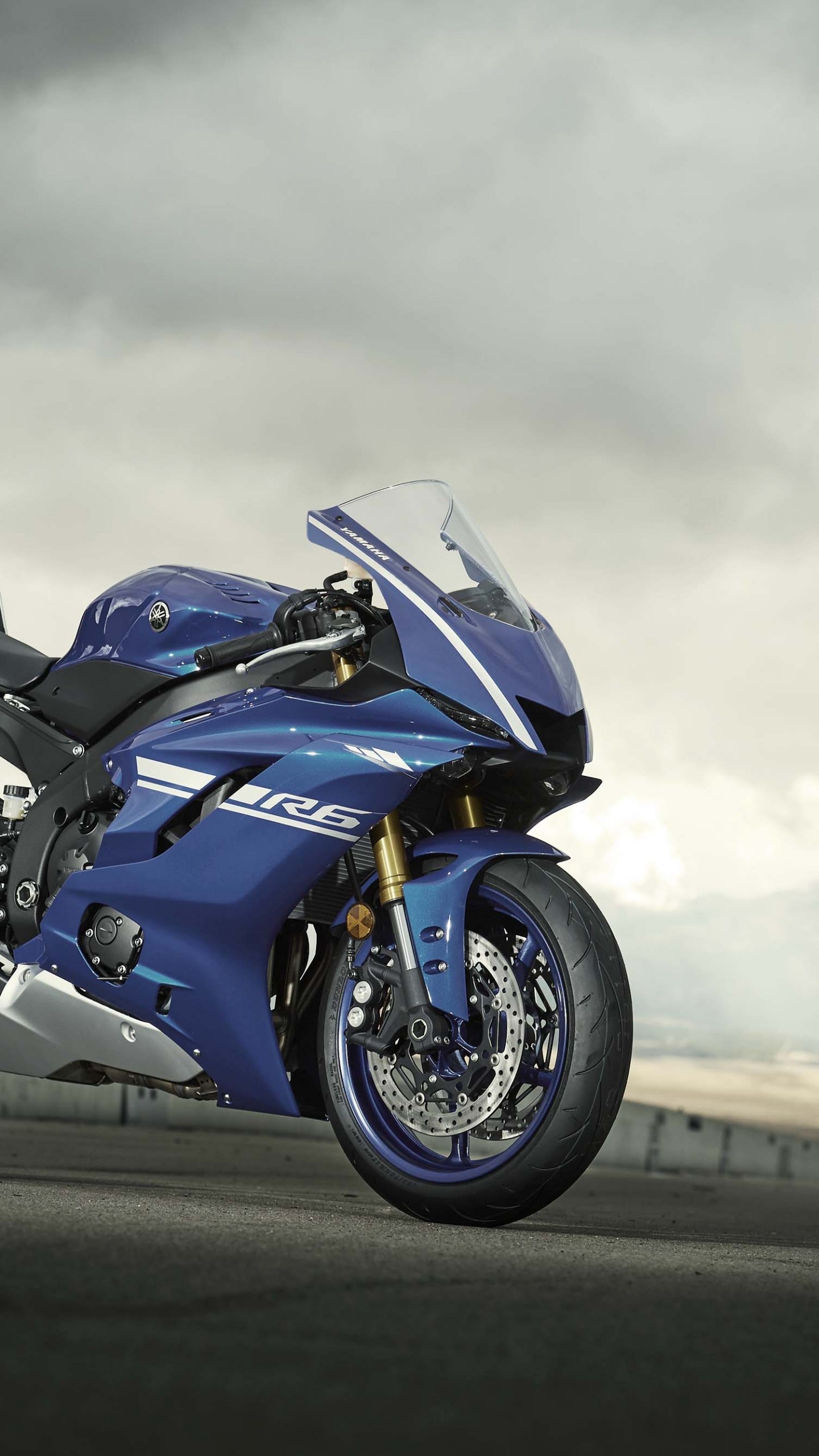 Yamaha YZF-R6, Sport bikes, High-speed performance, Breathtaking wallpapers, 1440x2560 HD Phone