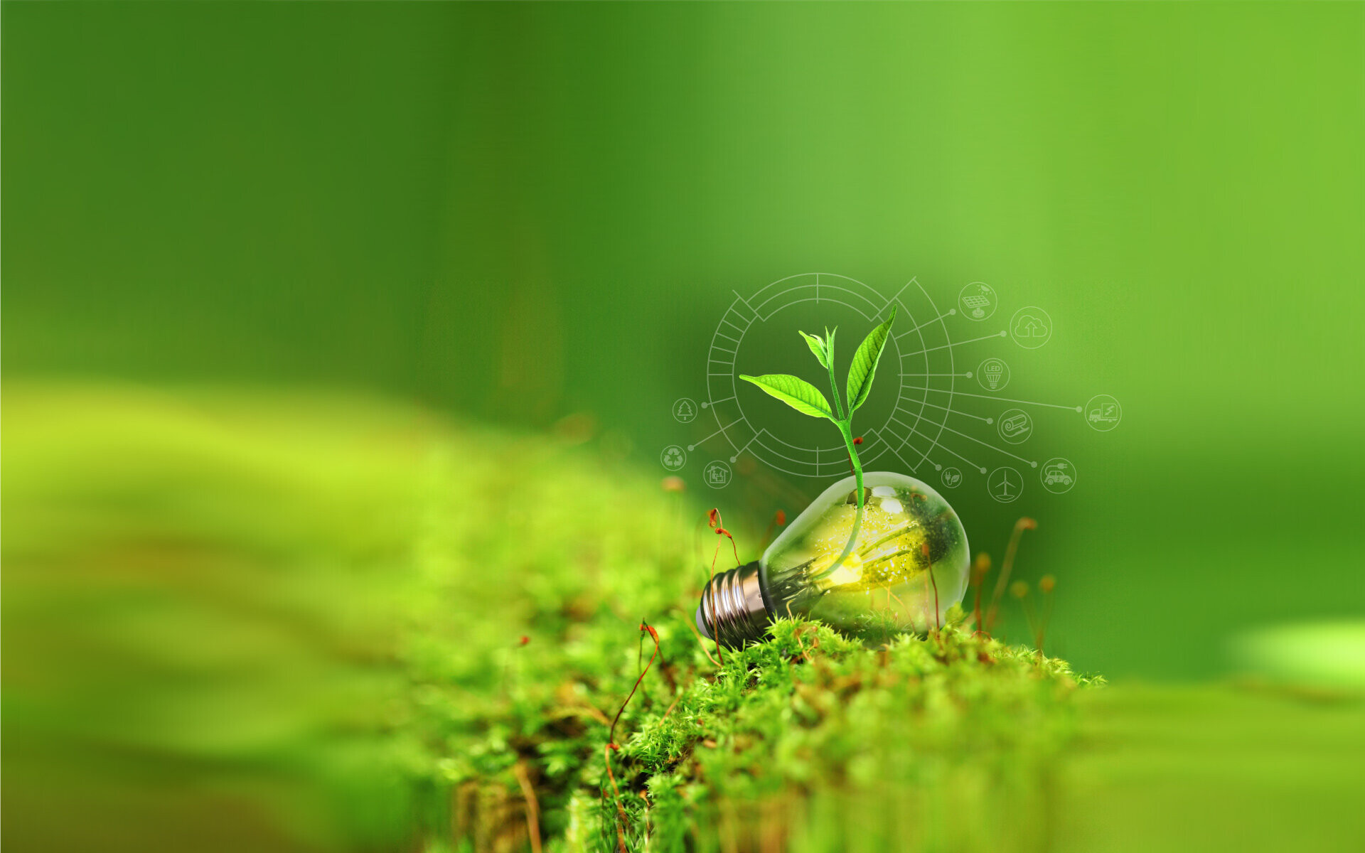 Go Green: Energy-efficient, Green Living, A lifestyle which seeks to limit harm to the environment. 1920x1200 HD Background.