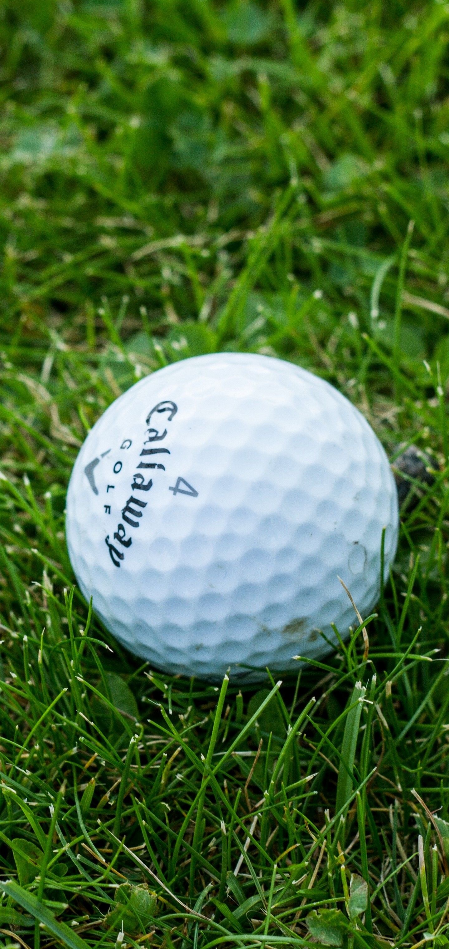 Golf ball, Golf course perspectives, Sports equipment, Swing technique, 1440x3040 HD Handy