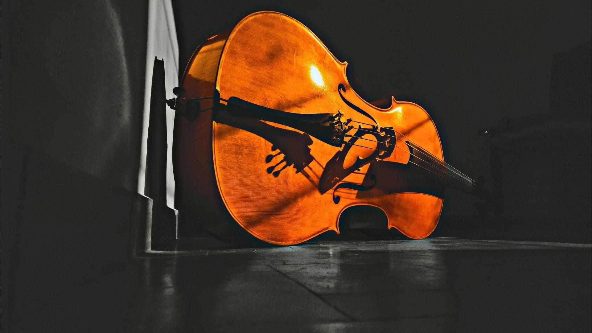 Double Bass: Violin Family, Professional Chordophone, Adjustable Tension Of The Strings, The Soundboard. 1920x1080 Full HD Wallpaper.