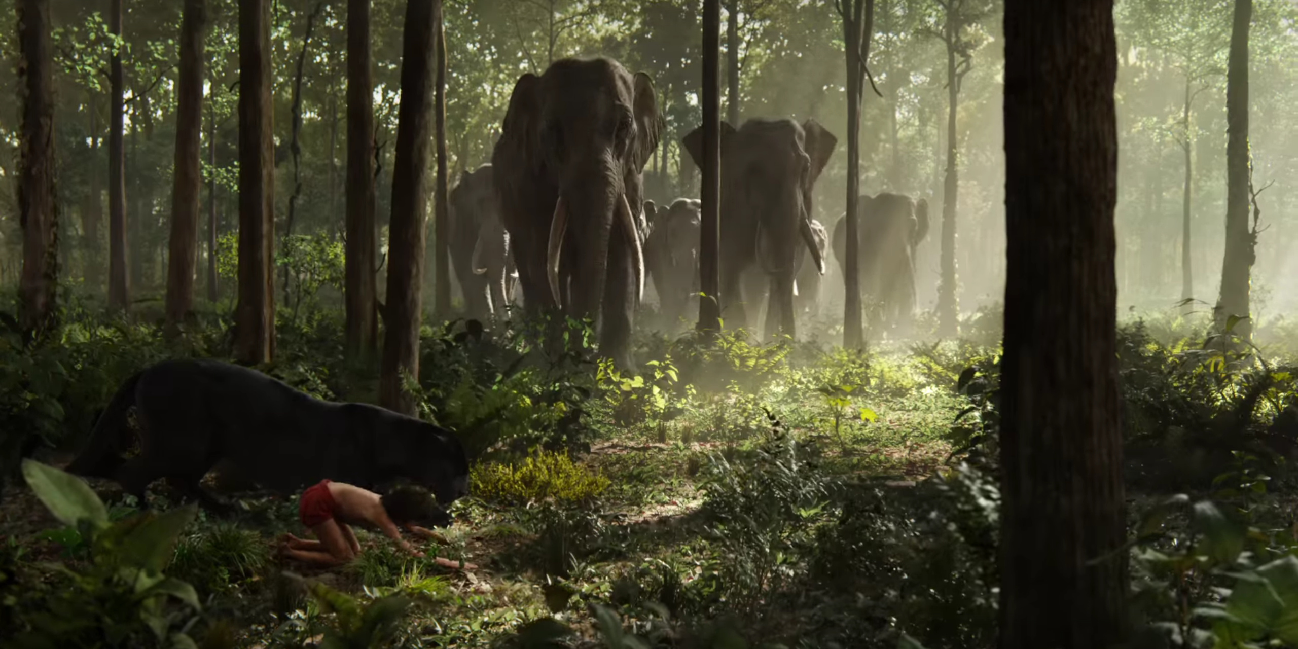 The Jungle Book (Movie), Earth's jungles, HQ 4K wallpapers, Nature's wonders, 2560x1280 Dual Screen Desktop