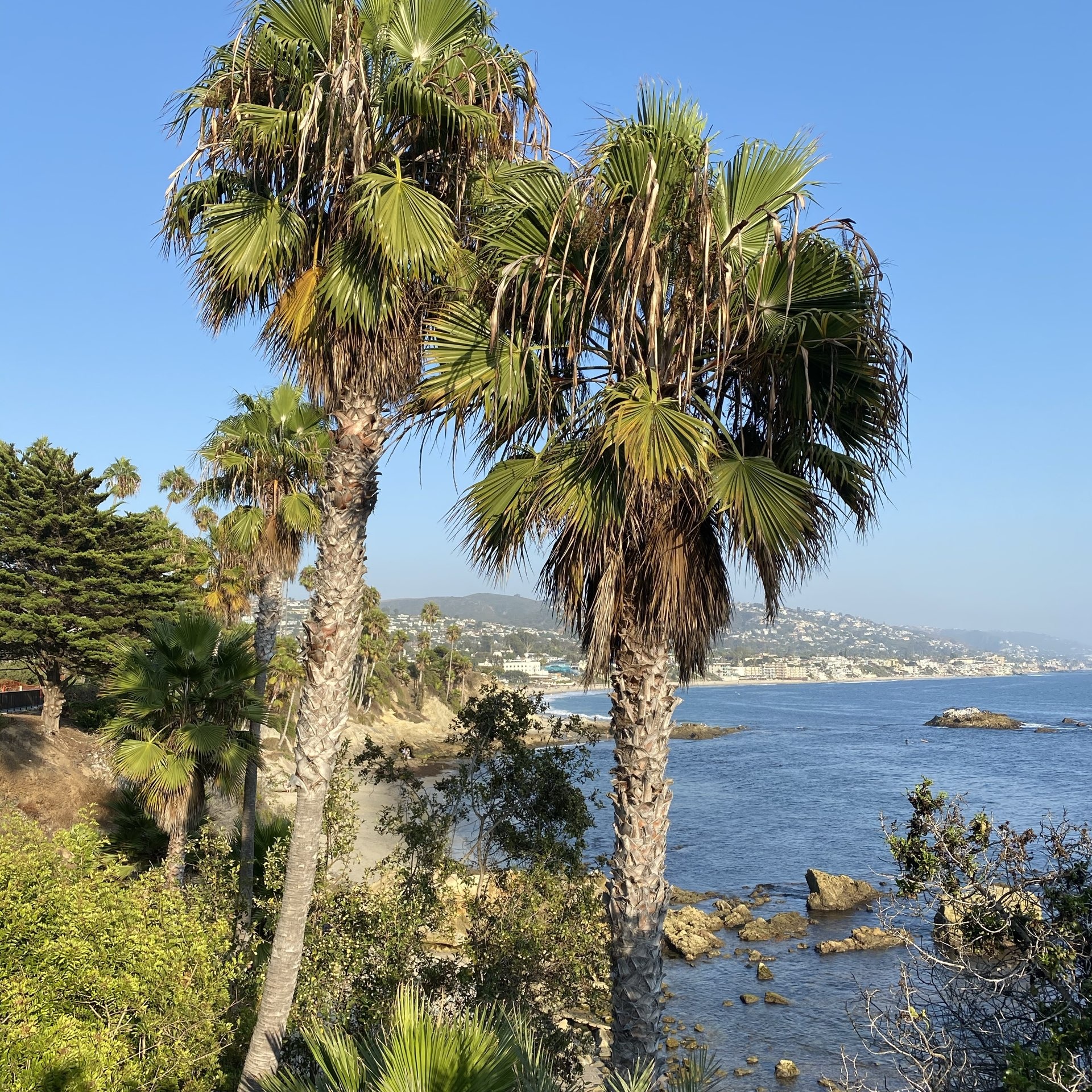 Laguna Beach 2022, Top attractions, Recommended experiences, Dining and hotels, 1920x1920 HD Handy