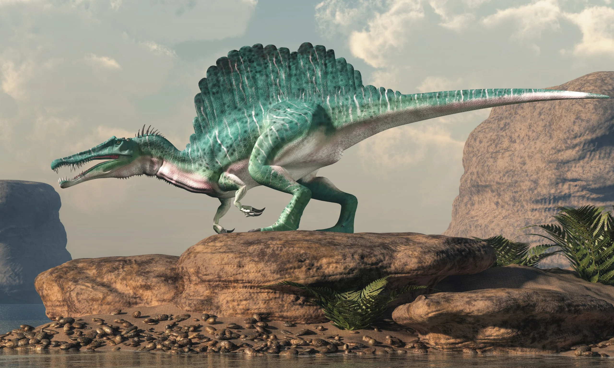 Spinosaurus steckbrief 8, Dinosaurier merkmale, Informational resource, Prehistoric facts, 2560x1540 HD Desktop