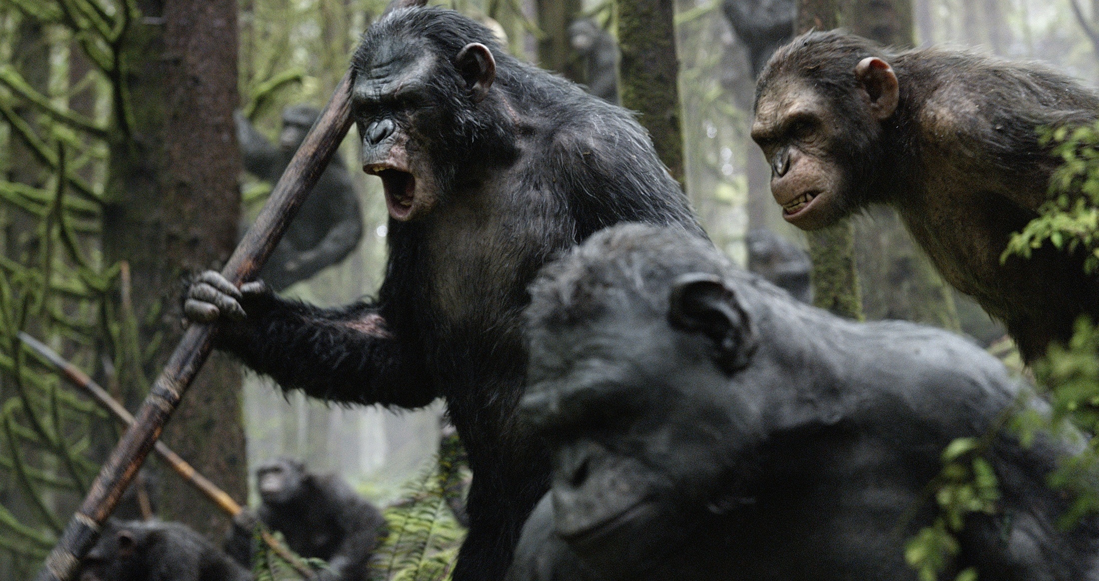 Planet of the Apes, Dawn film, HD wallpapers, Background images, 2200x1170 HD Desktop
