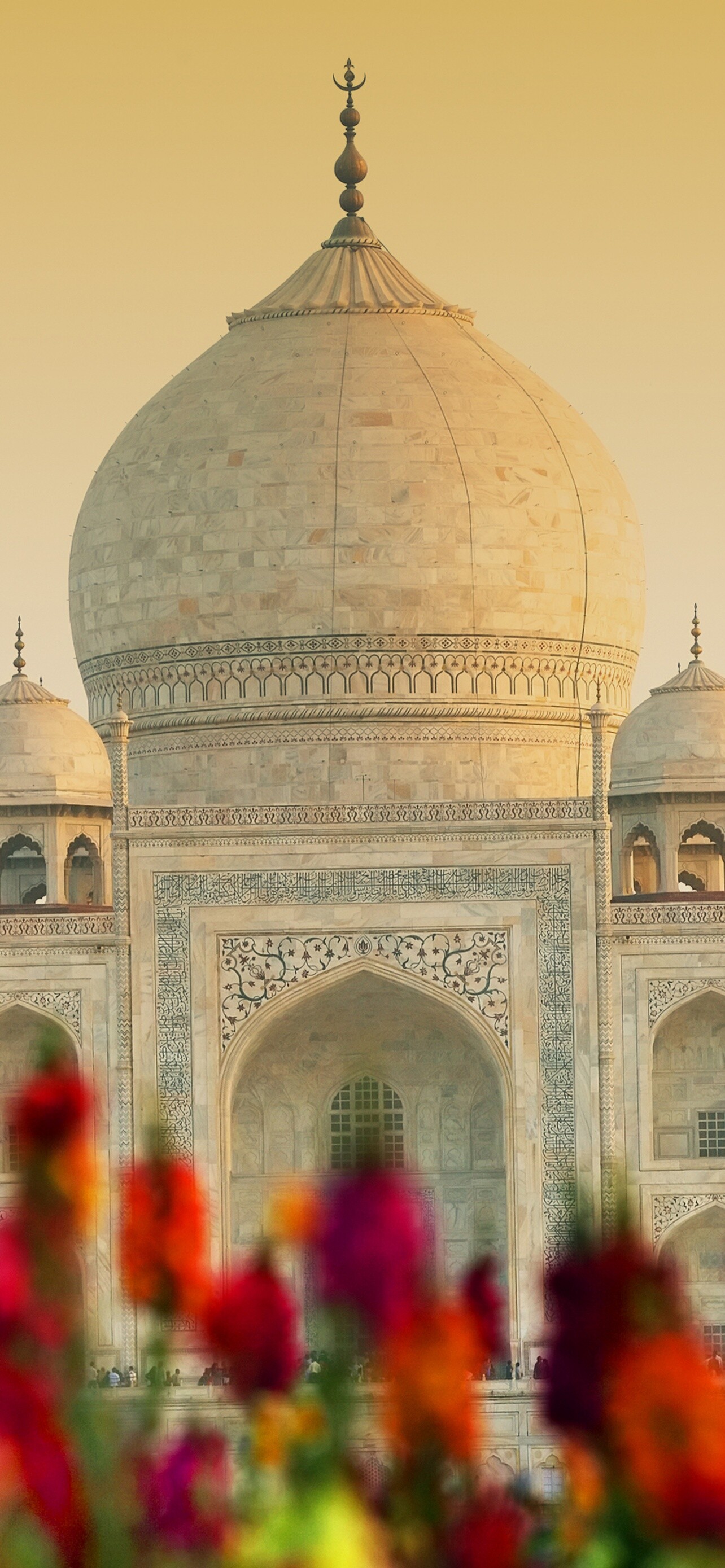India: Considered to be the greatest architectural achievement in the whole range of Indo-Islamic architecture, Mausoleum. 1290x2780 HD Wallpaper.