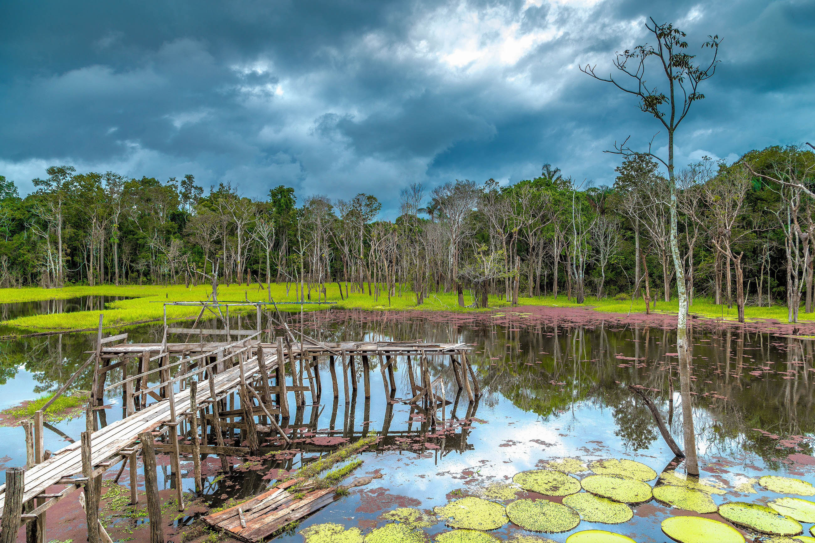 Pantanal Matogrossense, Brazilian wetlands, Wildlife photography, Frank's Travelbox, 2600x1740 HD Desktop