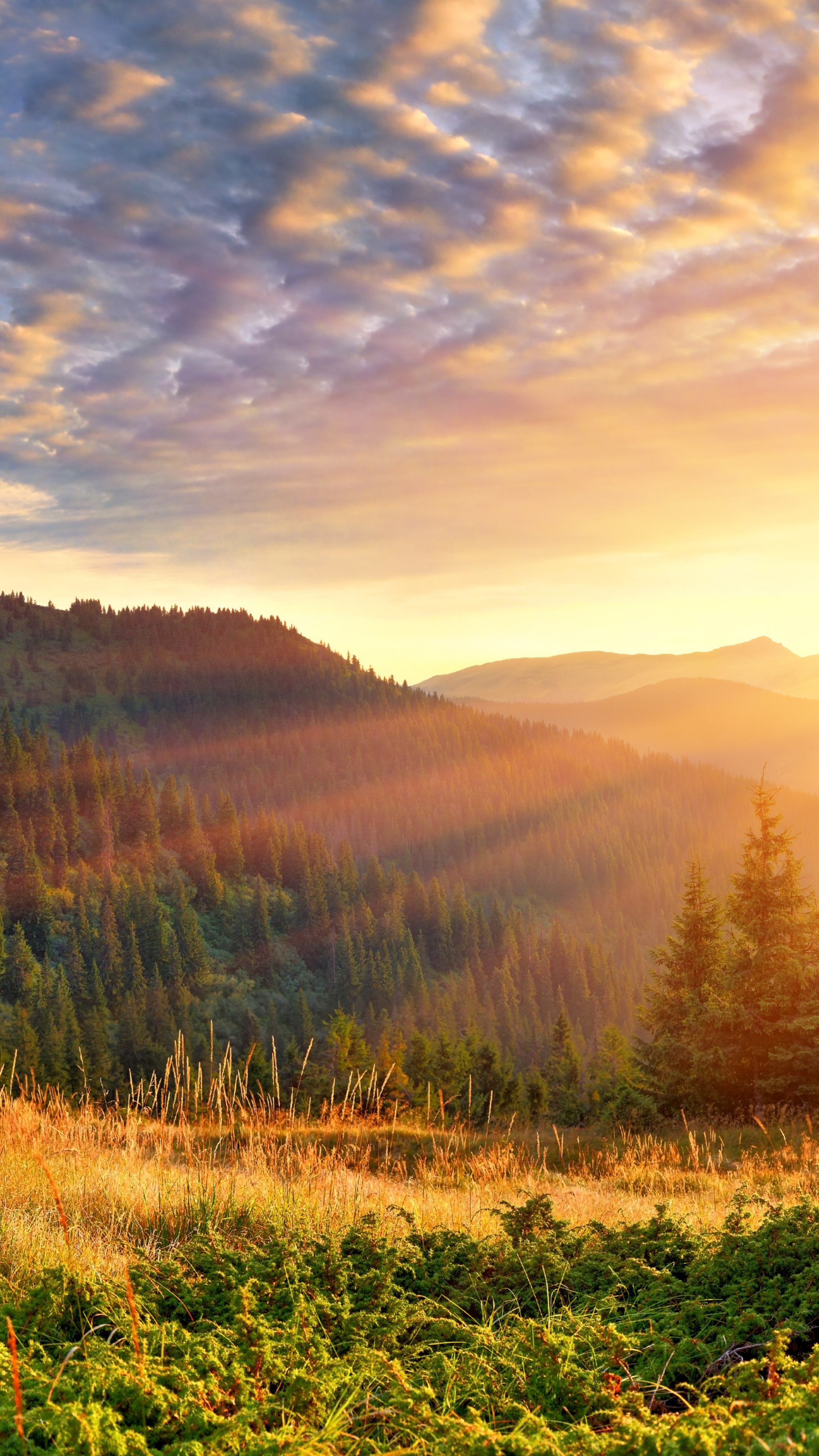 Mountain scenery morning sun, Rays 4k Sony Xperia, Golden morning light, Majestic mountain views, 2160x3840 4K Handy