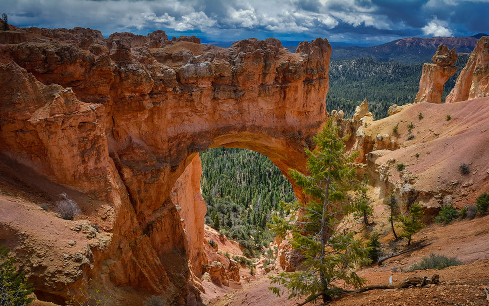 Natural rock bridge, Bryce Canyon National Park, Utah, Wallpaper for desktop, 1920x1200 HD Desktop
