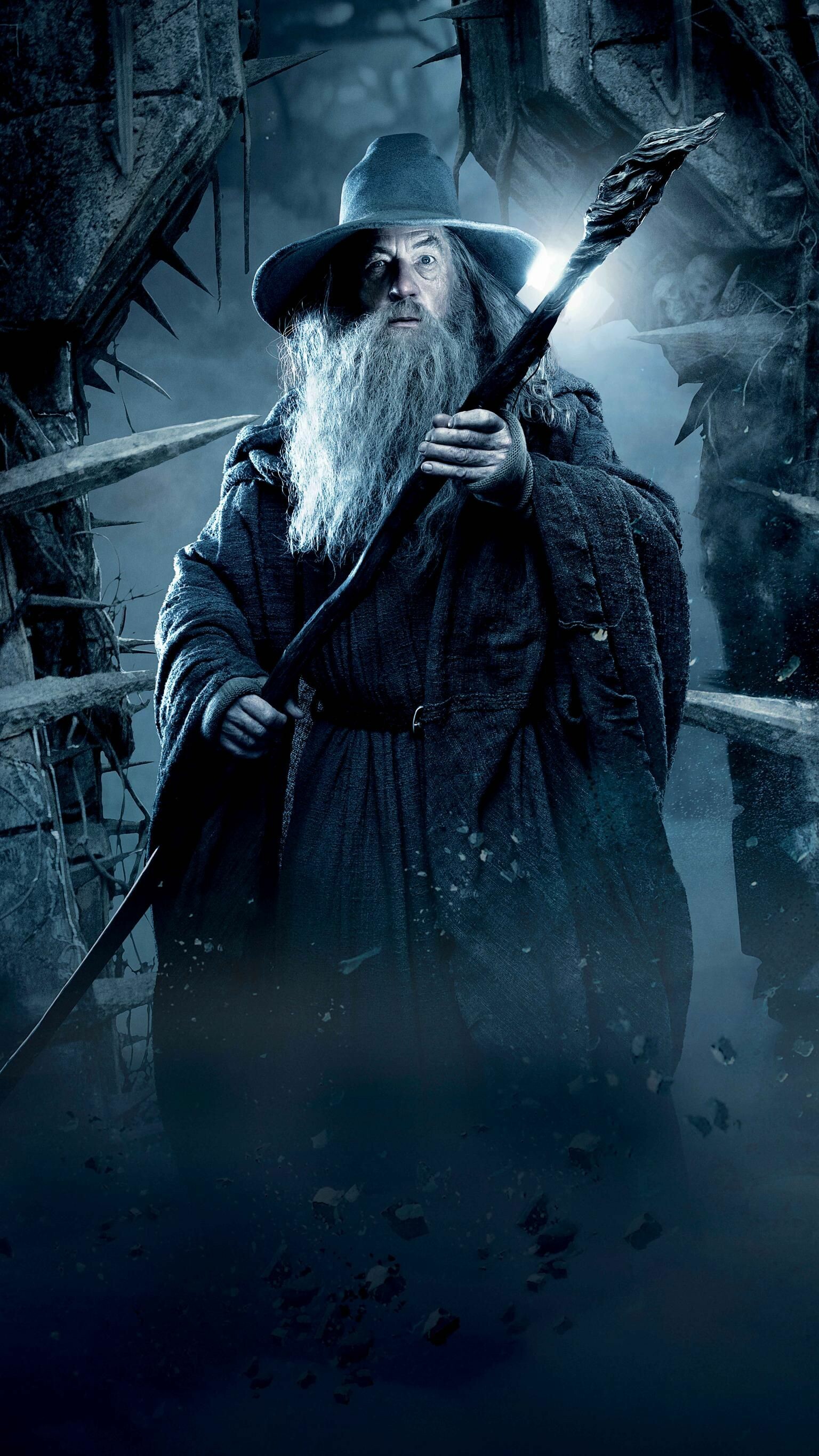 The Hobbit: The Desolation of Smaug, 2013, Gandalf the Grey, Shadow of Mordor. 1540x2740 HD Wallpaper.