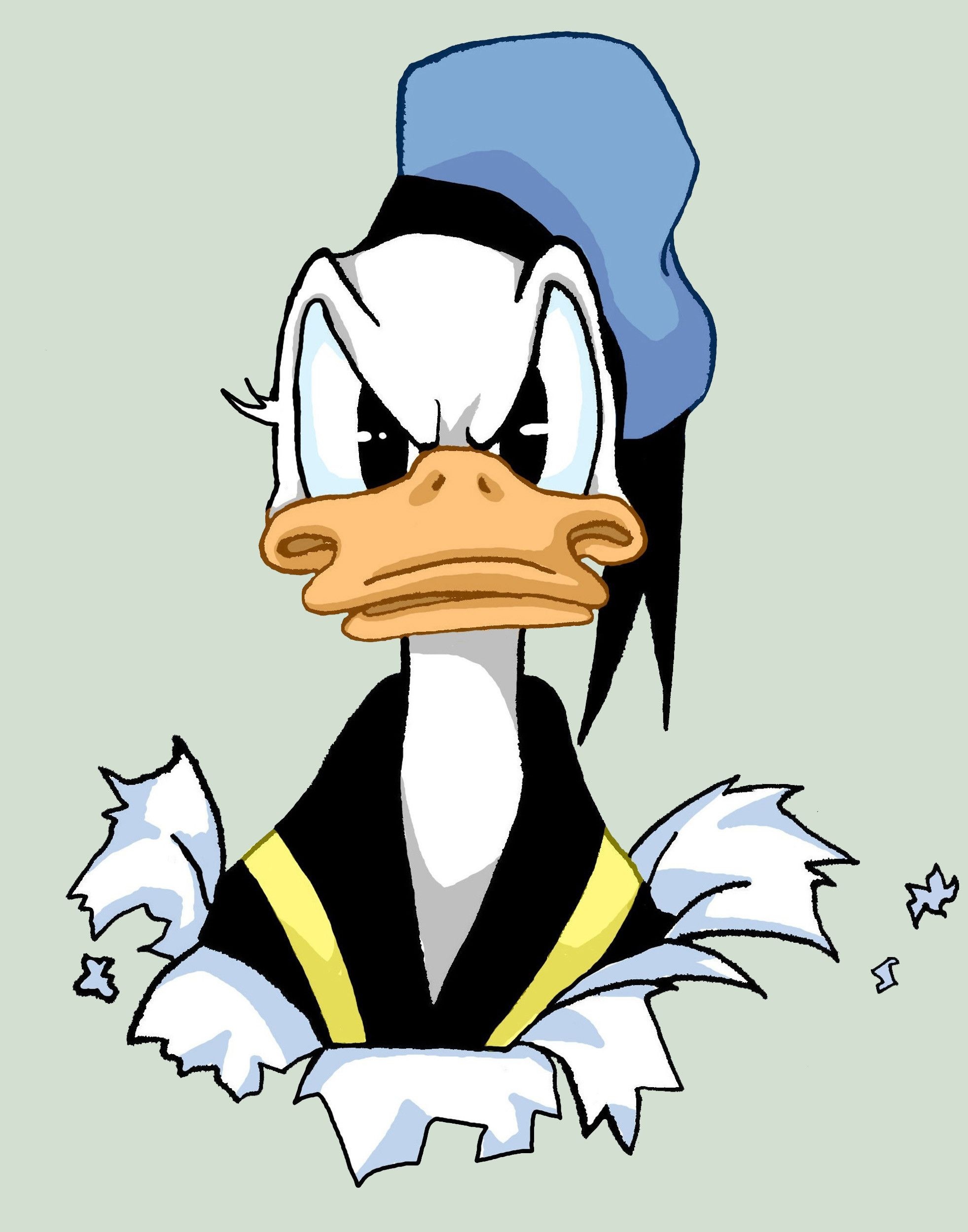 Donald Duck: A cartoon character created by Walt Disney. 1970x2500 HD Background.