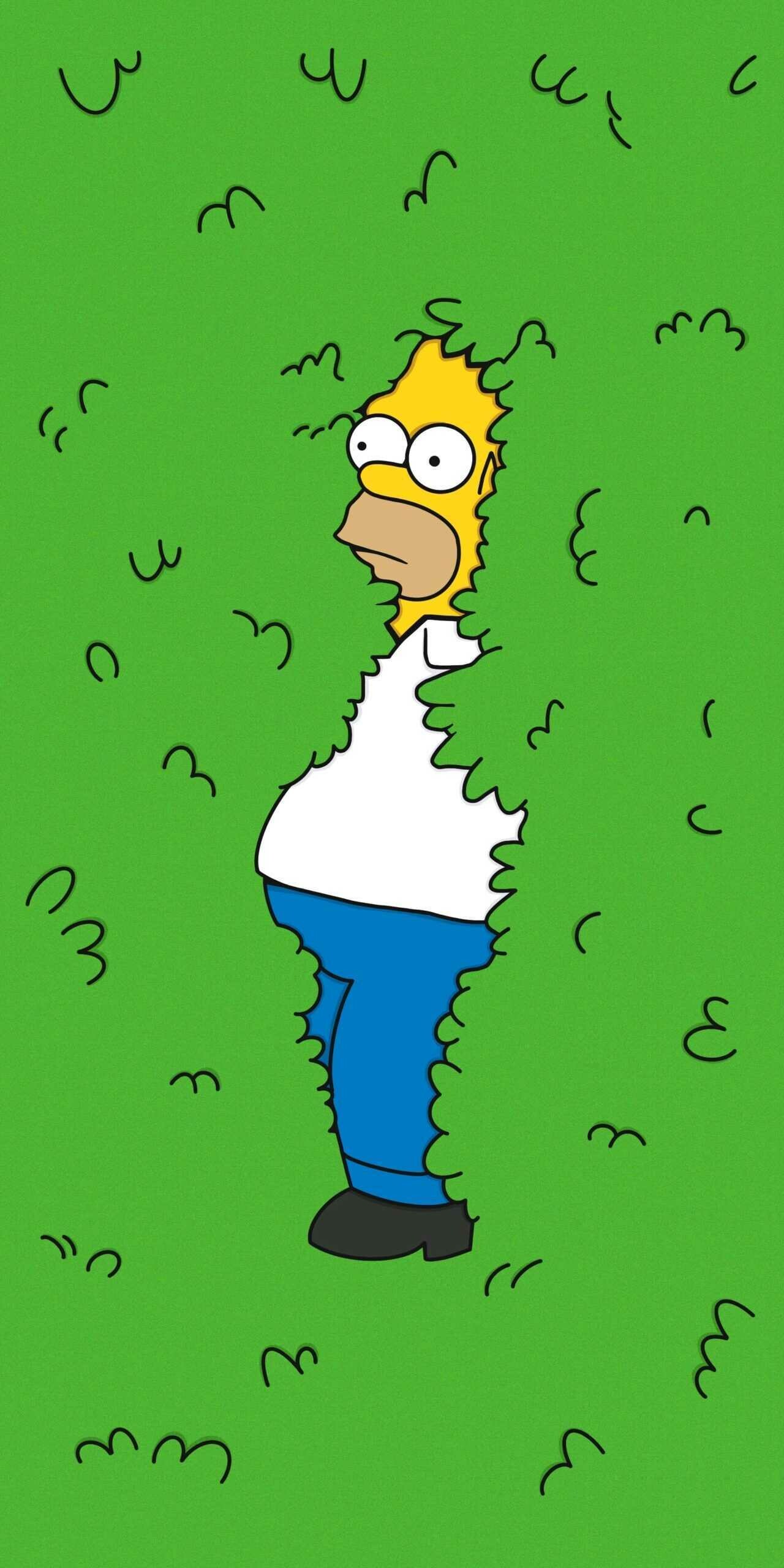 The Simpsons: Homer meme, The only son of Abraham Simpson II and Mona. 1280x2560 HD Wallpaper.