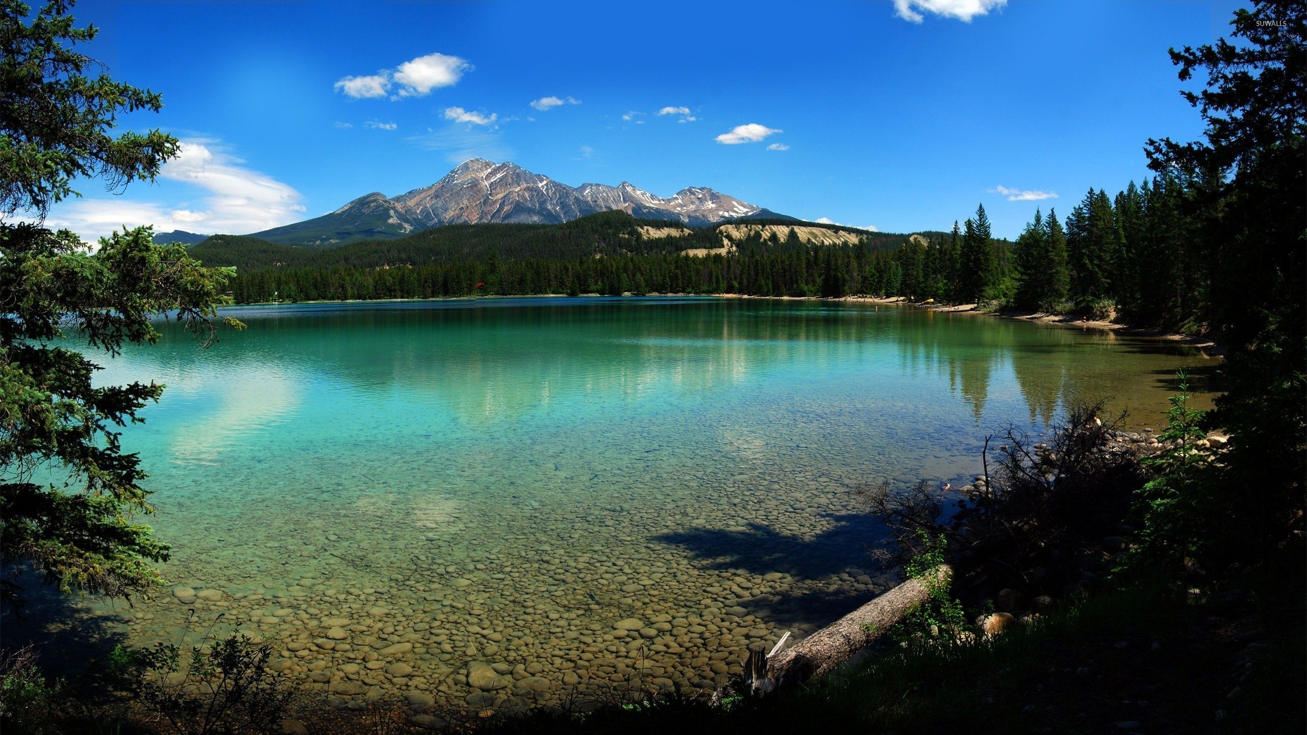 Jasper National Park, Nature wallpapers, Outdoor beauty, Serenity and calm, 2560x1440 HD Desktop