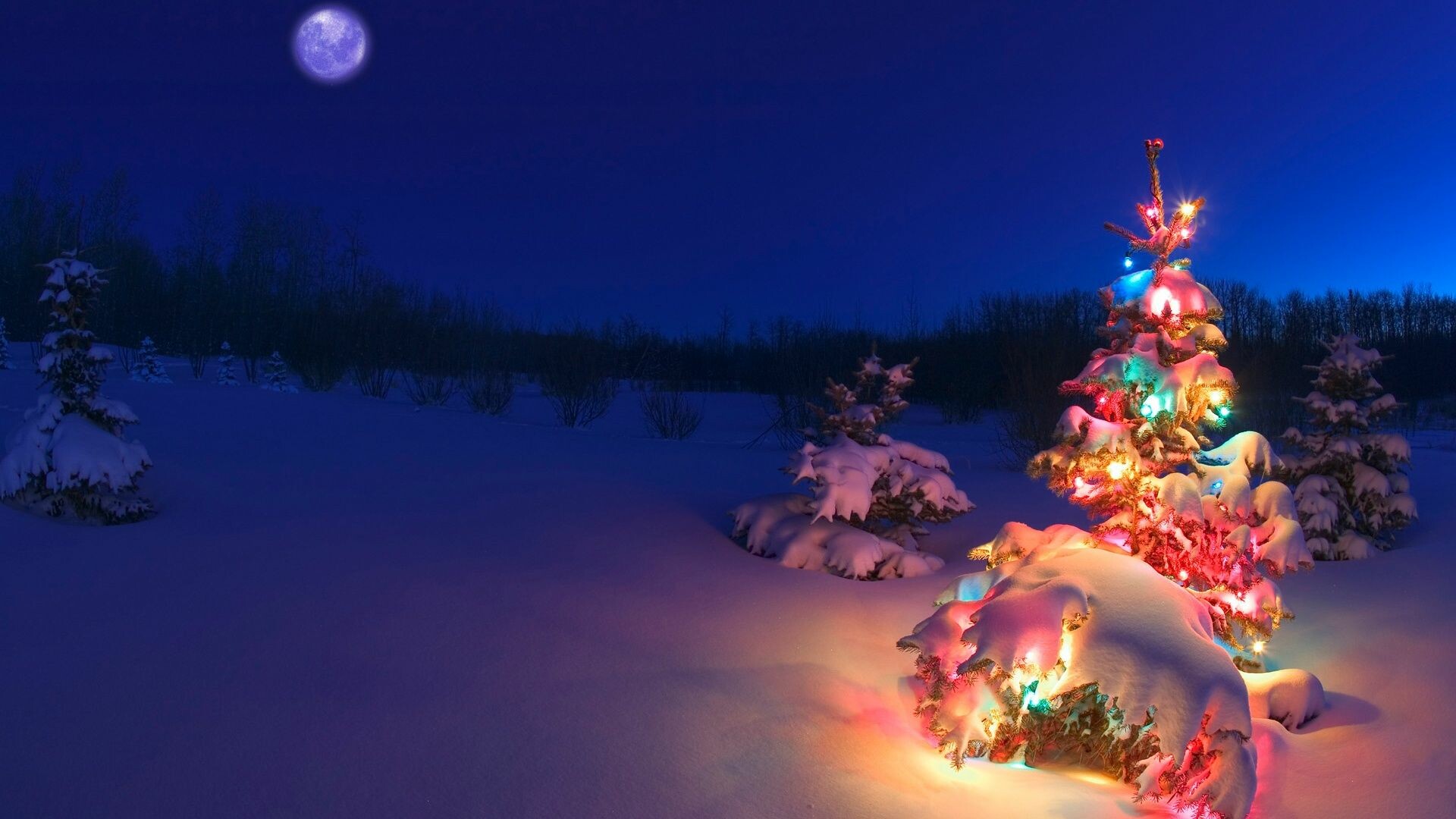 Fairy Lights: Colorful bulbs that are used decoratively, especially on Christmas trees. 1920x1080 Full HD Background.