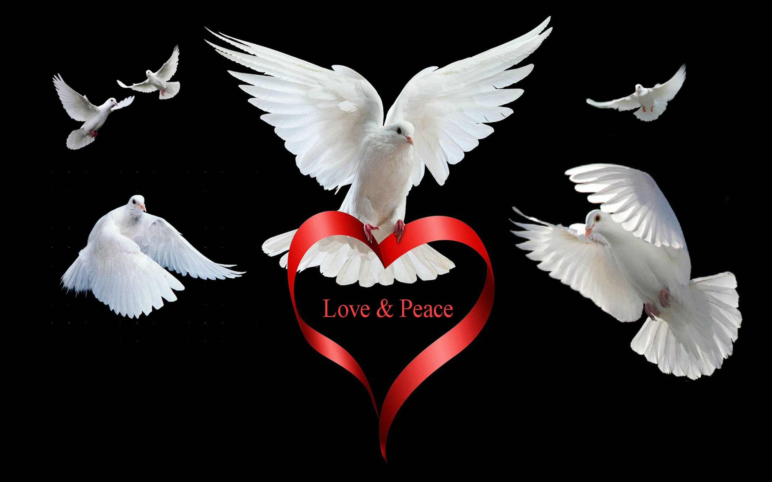 Peace, Love, HD Desktop Background, 2560x1600 HD Desktop