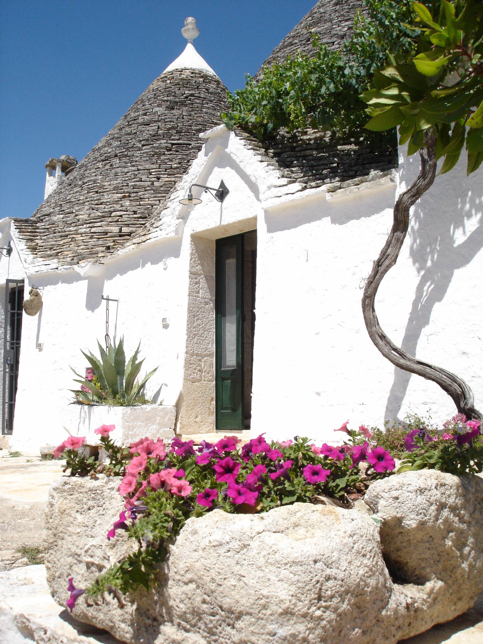 Charming Alberobello villas, Poolside relaxation, 1540x2050 HD Handy