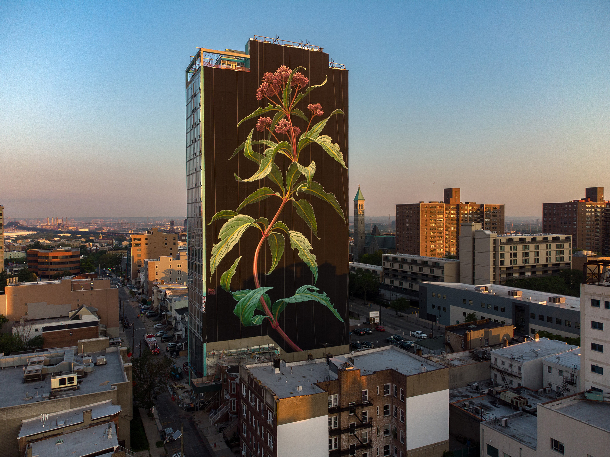 Jersey City, Wildflower blooms, Mural, Mona Caron, 2000x1500 HD Desktop