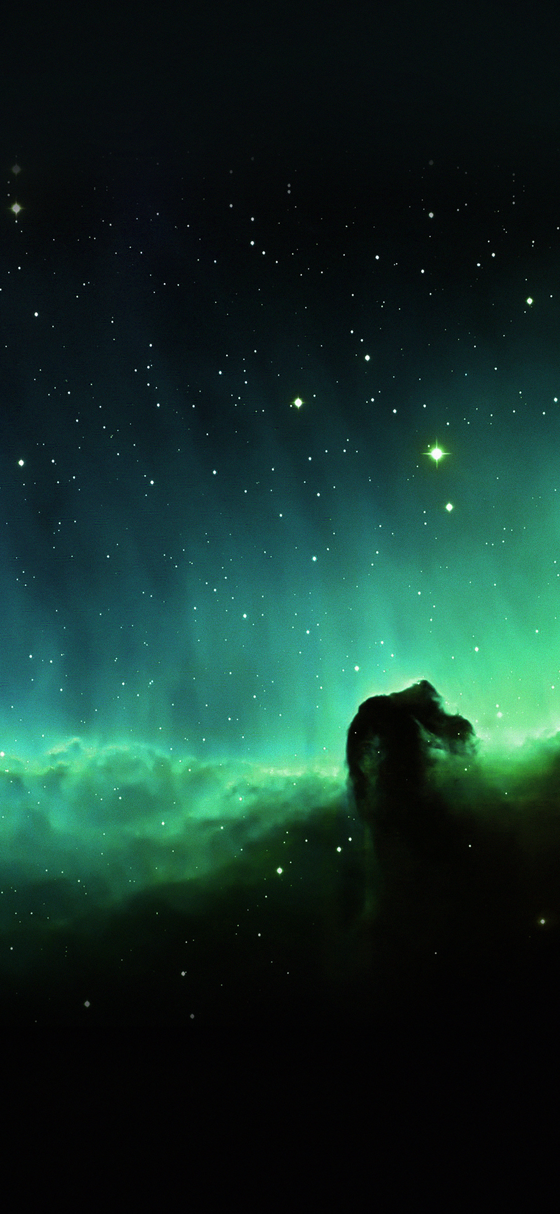 Green Nebula: Barnard 33, The Horsehead Nebula, The south of Alnitak, the easternmost star of Orion's Belt. 1130x2440 HD Background.