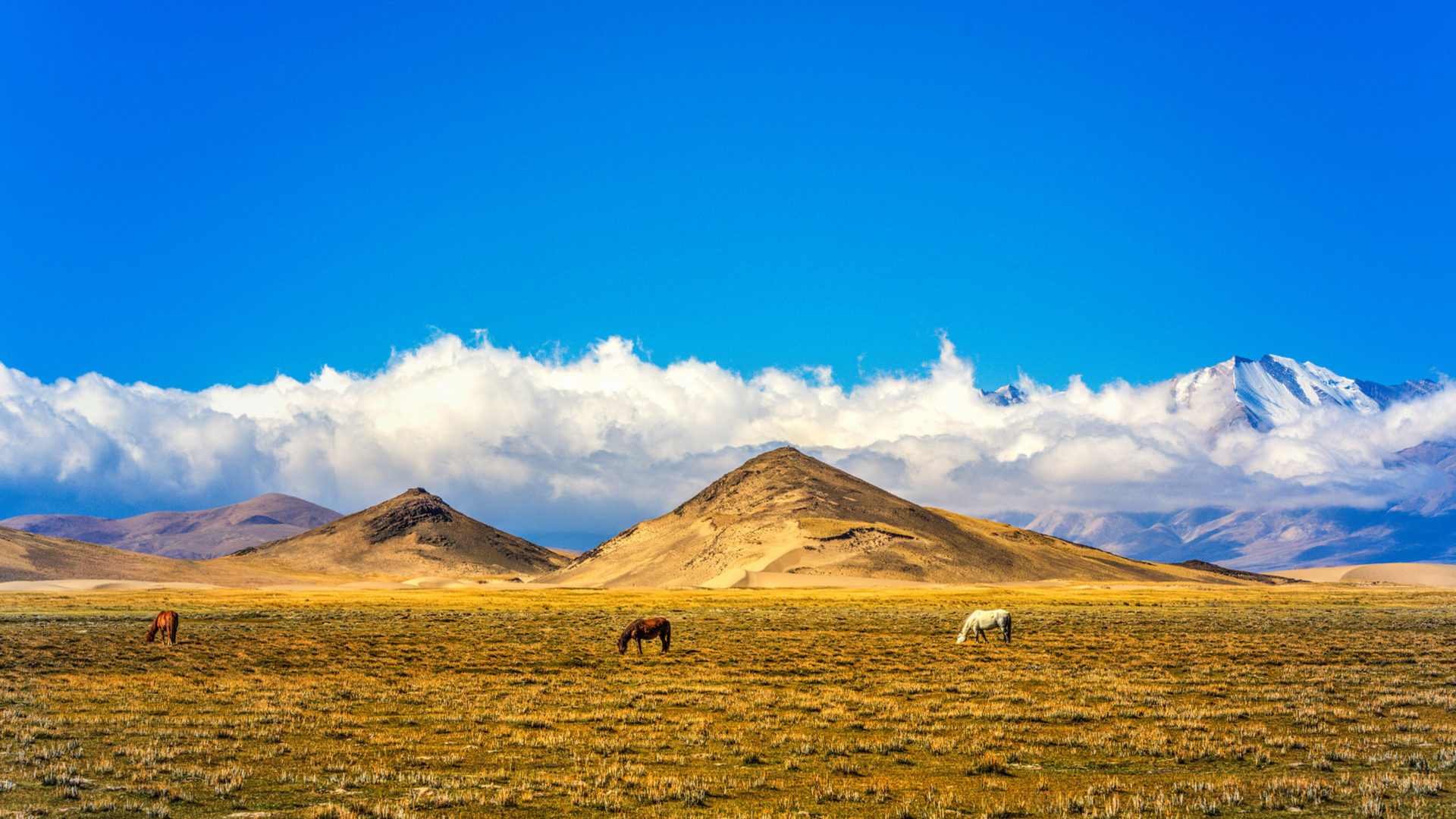 China northern Tibet, Pastures field hills, Snow blue sky, Kde store, 1920x1080 Full HD Desktop