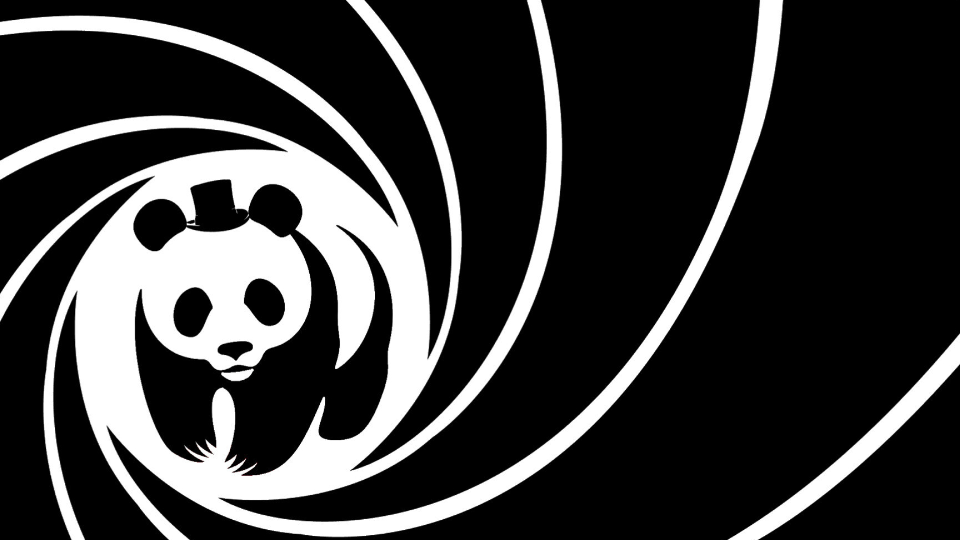 Panda: Bear inhabiting bamboo forests in the mountains of central China, Monochrome. 1920x1080 Full HD Wallpaper.