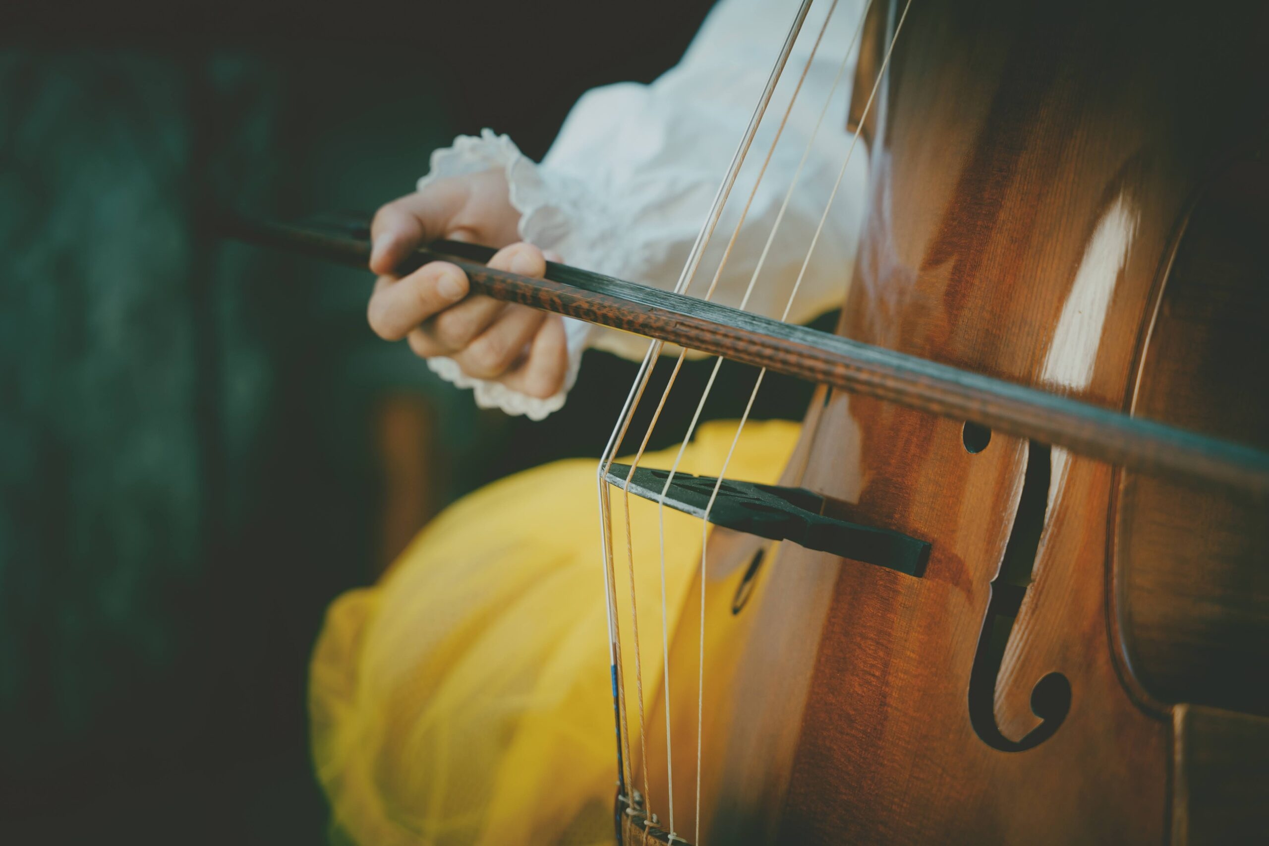 Viola da Gamba: Bowed And Strings Family Of Instruments, Classical Music And Instrument. 2560x1710 HD Background.