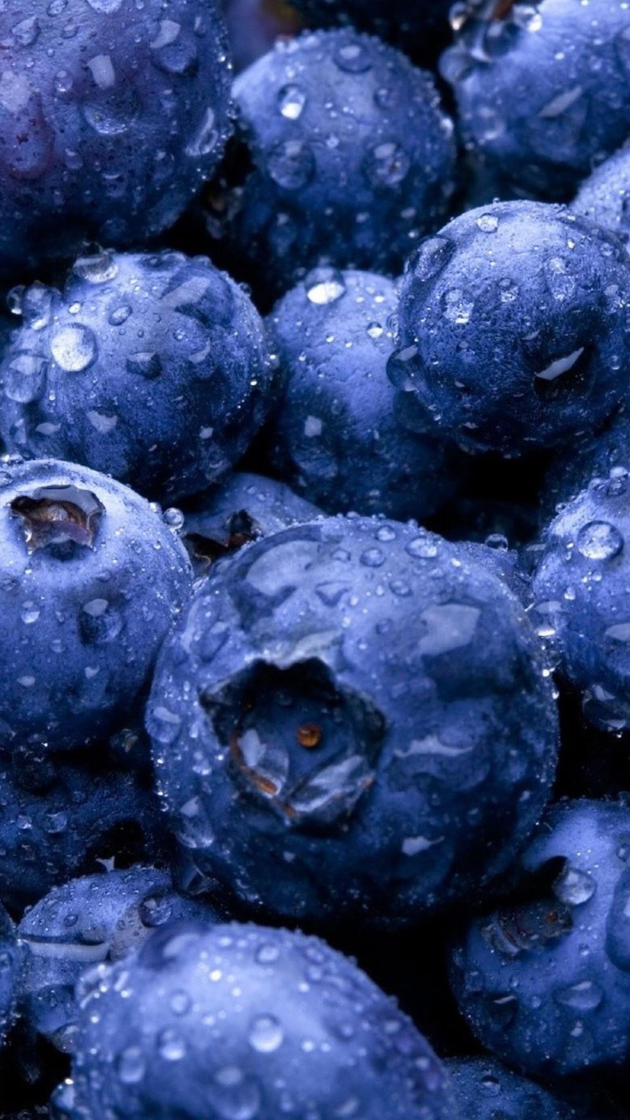Sony Xperia blueberry wallpaper, Fruit-themed design, HD 4K image, Phone wallpaper excellence, 2160x3840 4K Phone