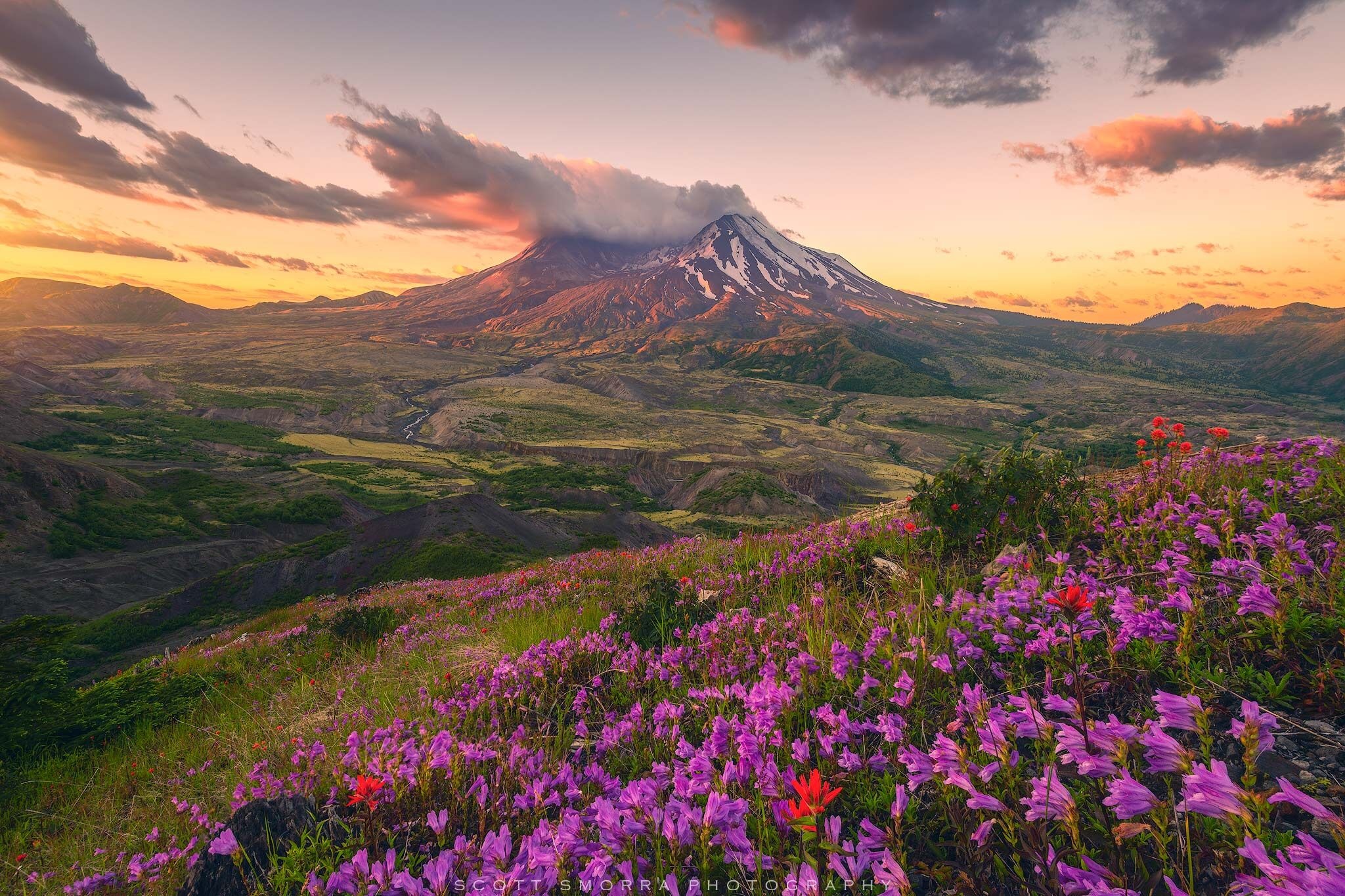 Mount St. Helens, Travels, Recovery, Washington, 2050x1370 HD Desktop