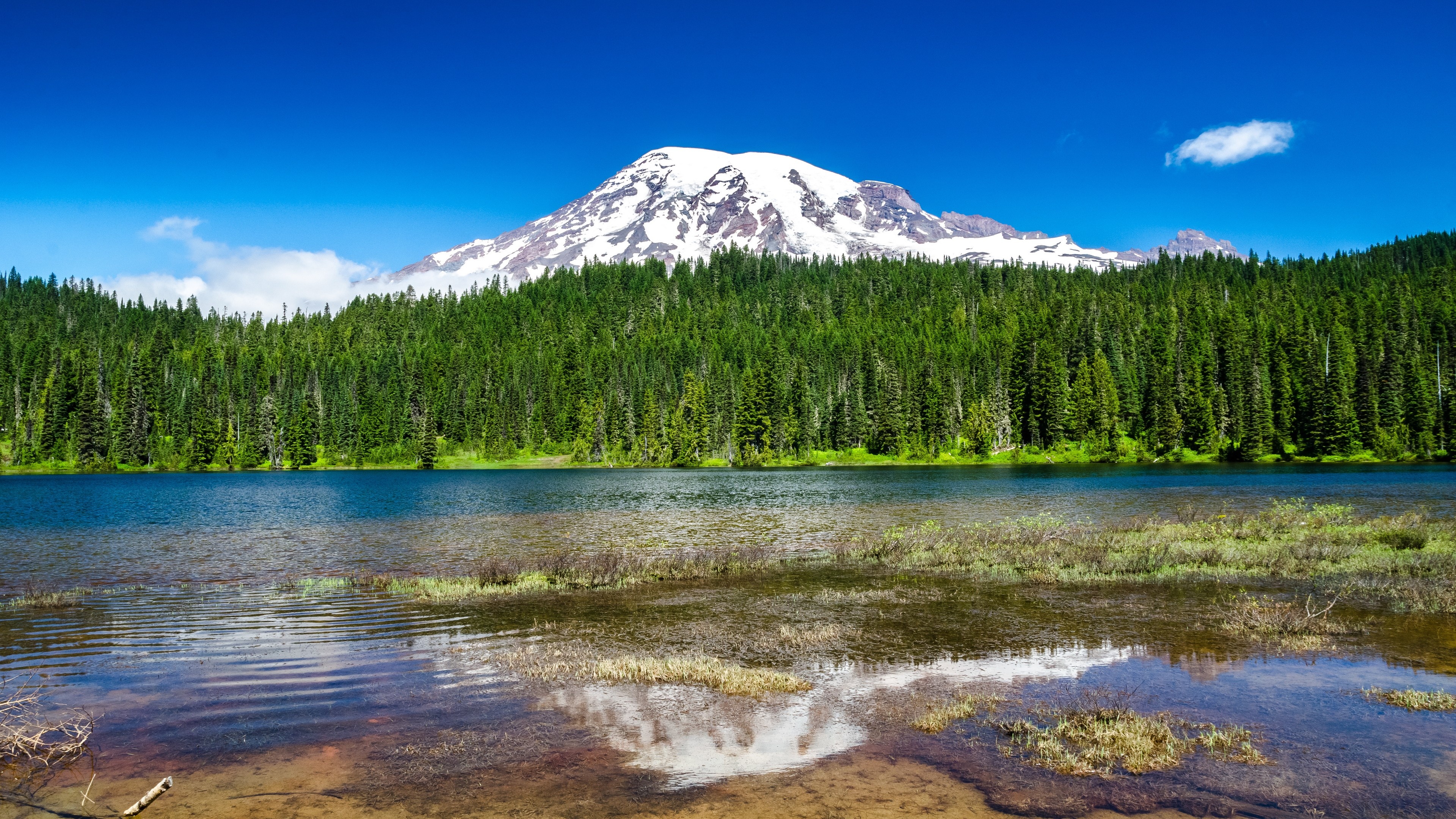 Mount Rainier National Park, Pristine wilderness, Majestic mountain, Natural habitat, 3840x2160 4K Desktop