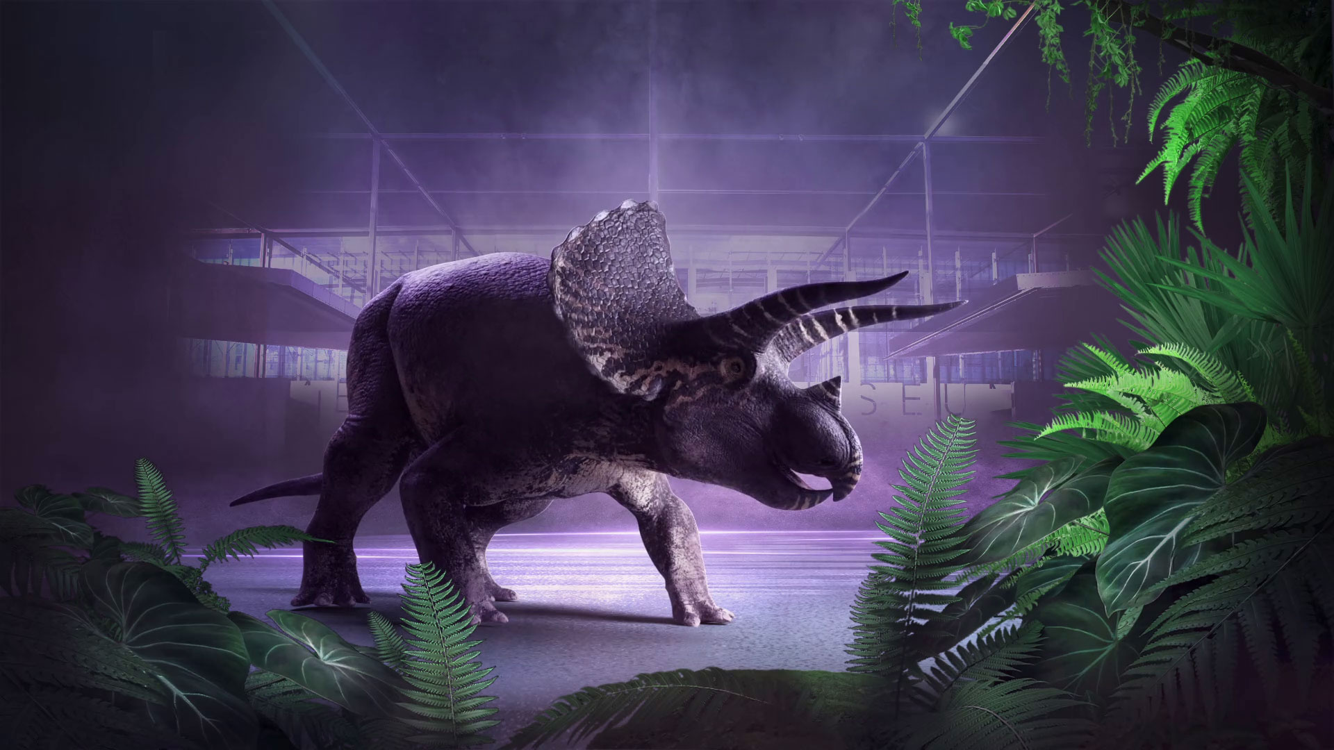 Triceratops, Fate of the dinosaurs, Melbourne museum, Extinction event, 1920x1080 Full HD Desktop