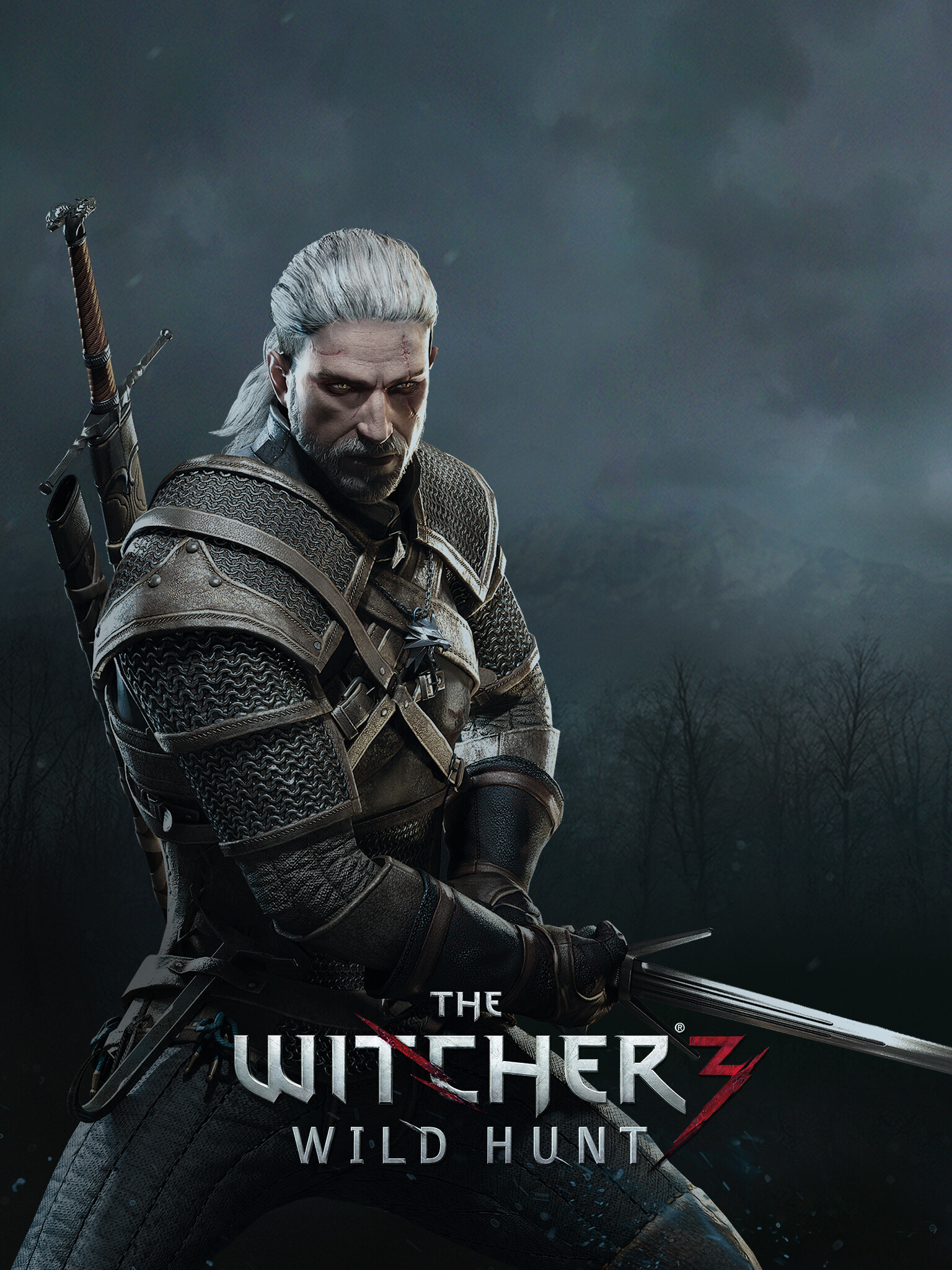 The Witcher (Game): The third game, The sequel to the 2011 game Assassins of Kings. 1540x2050 HD Wallpaper.