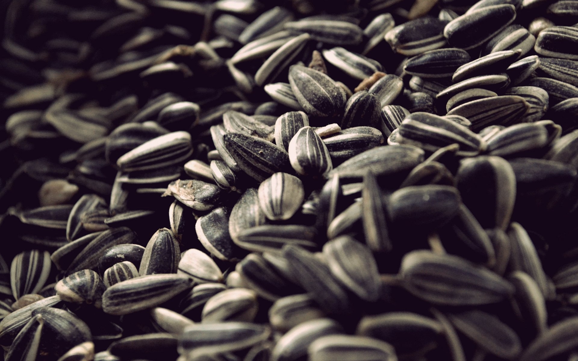 Seeds: More commonly eaten as a snack than as part of a meal, Sunflower. 1920x1200 HD Wallpaper.
