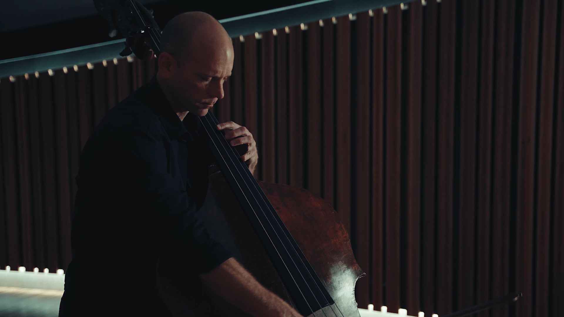 Double Bass: Maxime Bibeau, Australian Chamber Orchestra, French Bow, Maple Wood Corpus. 1920x1080 Full HD Background.