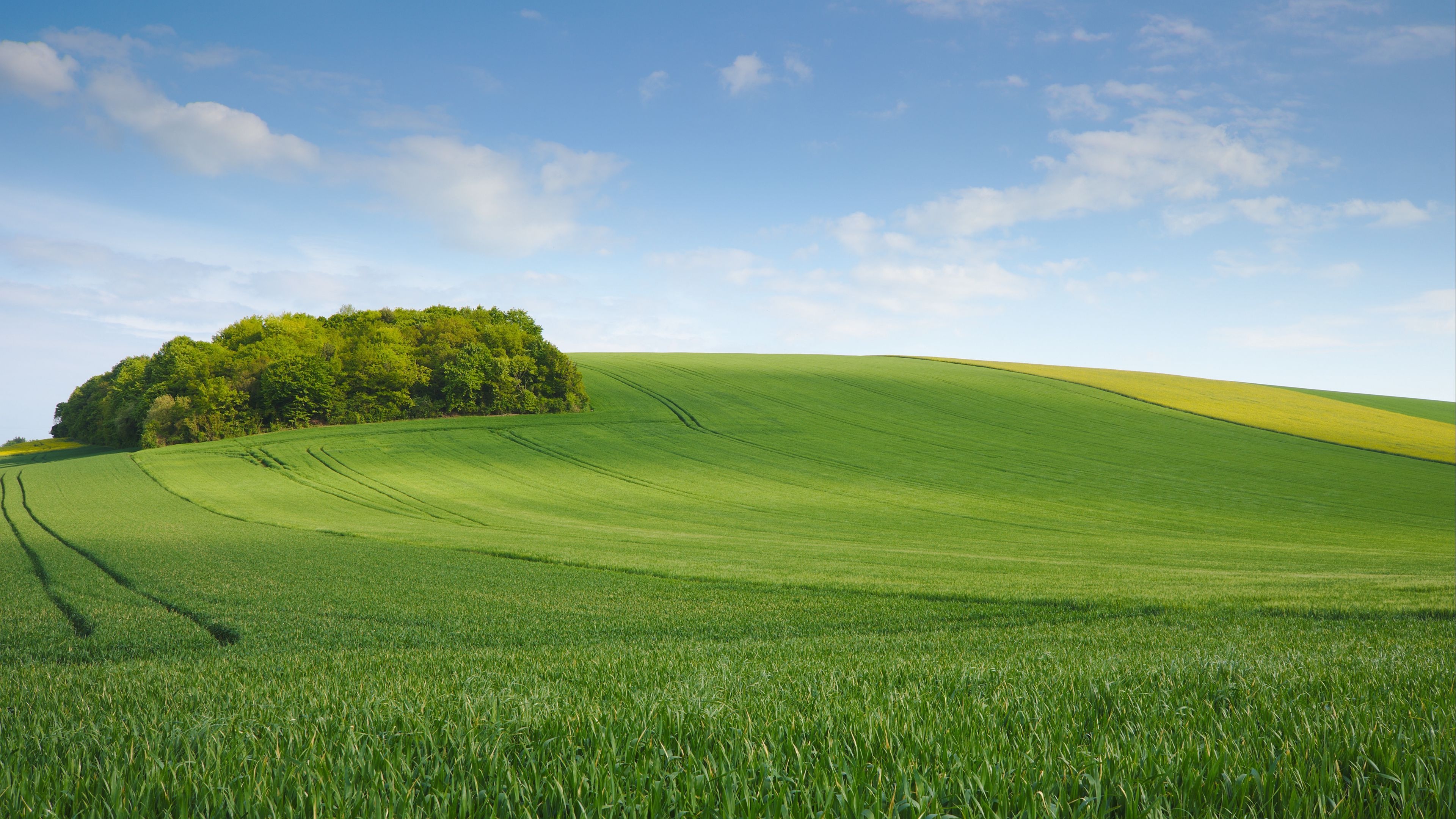 Grass and Sky: Hill, Trail, Open area, Expanse, Farmland, Field, Province, Blue sky. 3840x2160 4K Wallpaper.