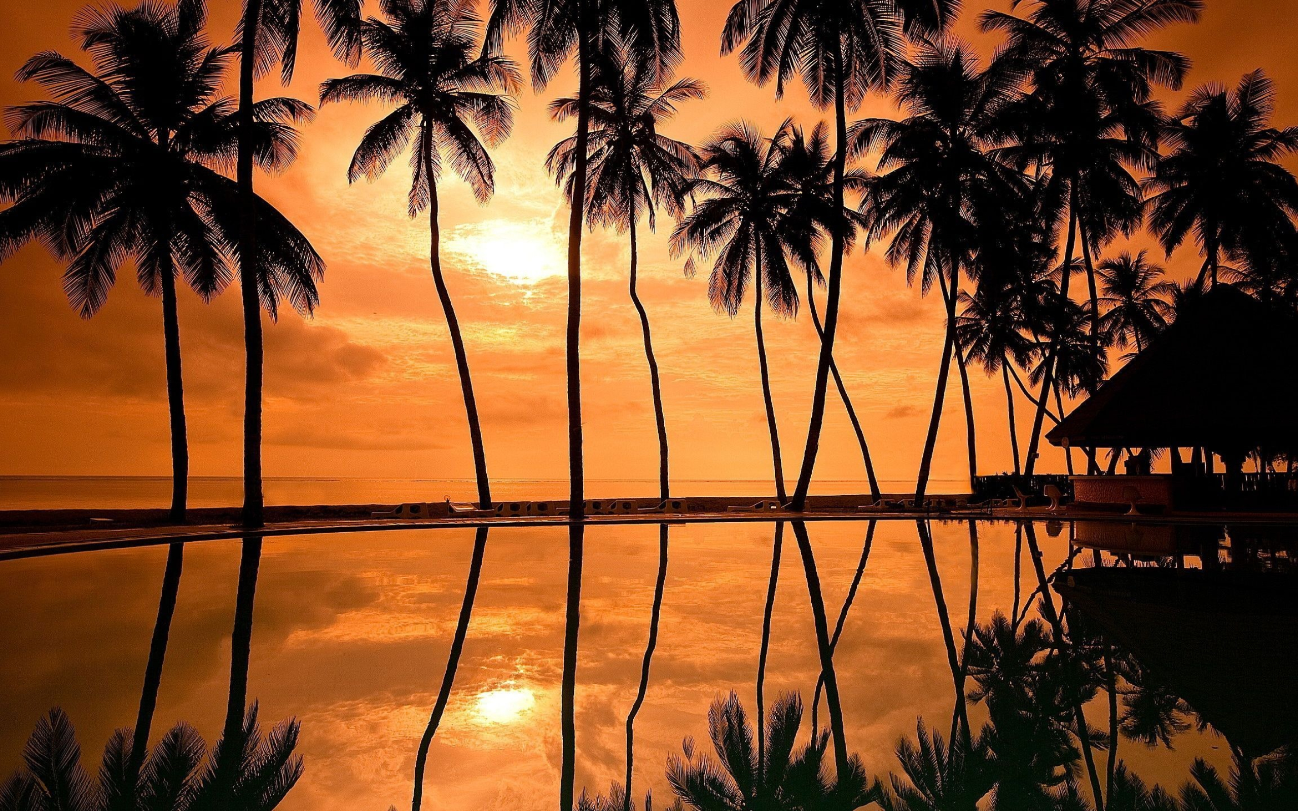 Sensational sunset, Beachfront bliss, Golden hour magic, Coastal beauty, 2560x1600 HD Desktop