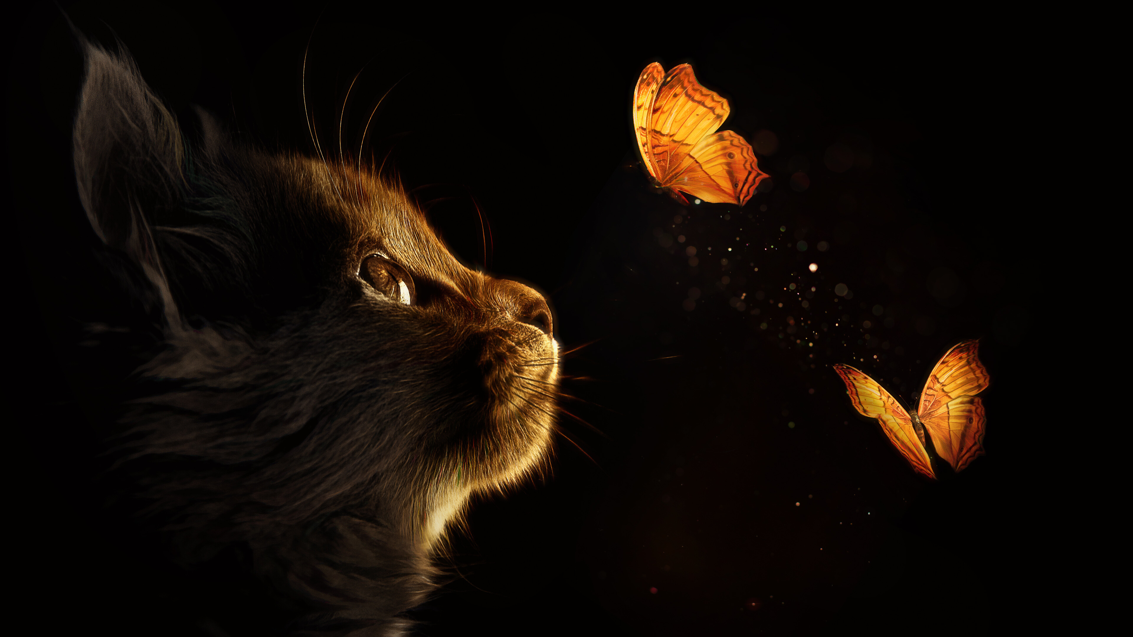Kitten wallpaper 4K, Black background, Glowing animals, Playful butterflies, 3840x2160 4K Desktop