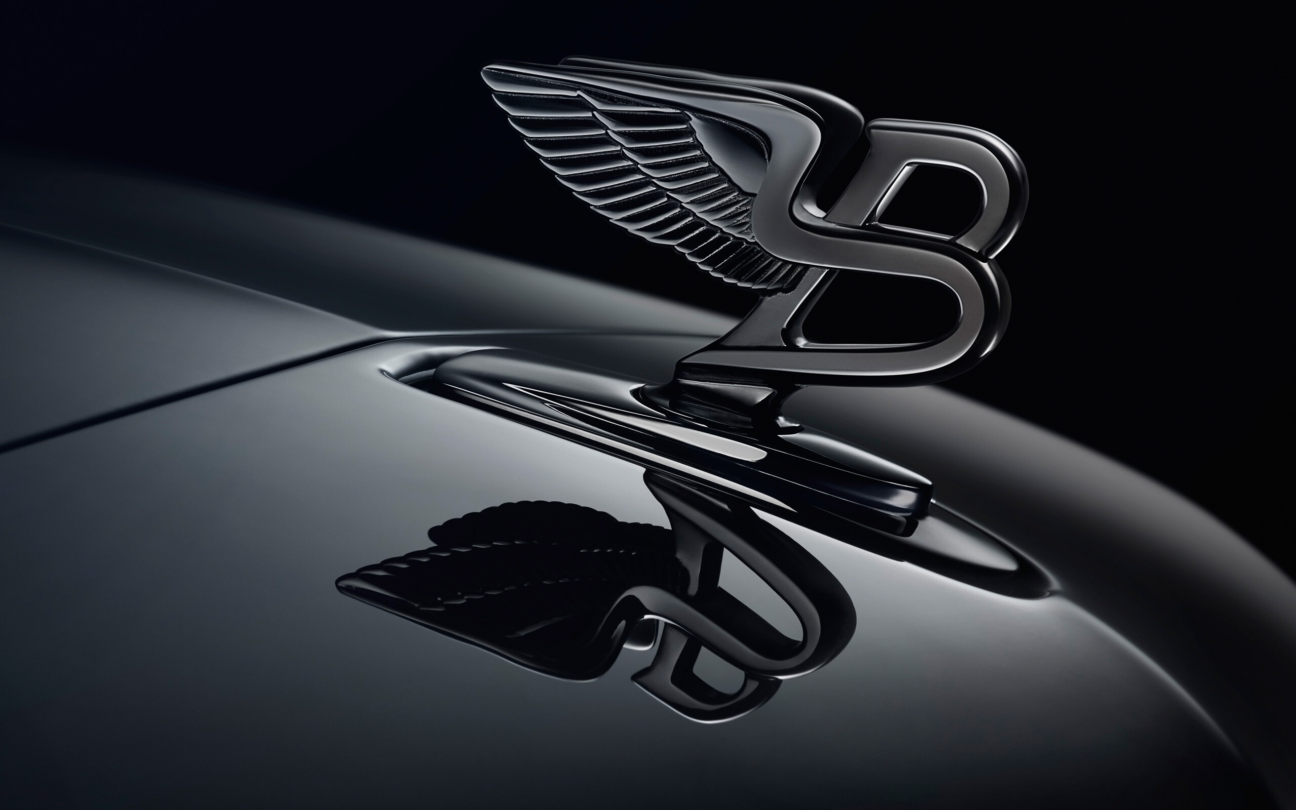 Bentley: According to the company, the wings on the logo are a symbol of the “celestial”. 2560x1600 HD Wallpaper.