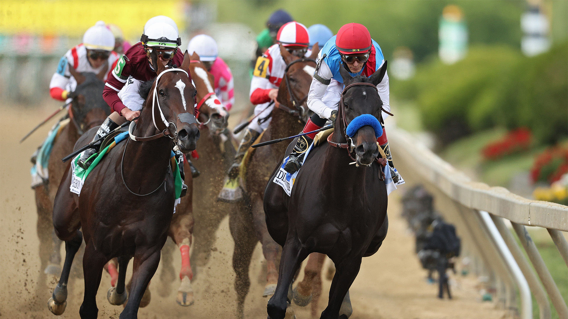 Horse Racing, Watching the Preakness Stakes, Live stream excitement, TV coverage, 1920x1080 Full HD Desktop