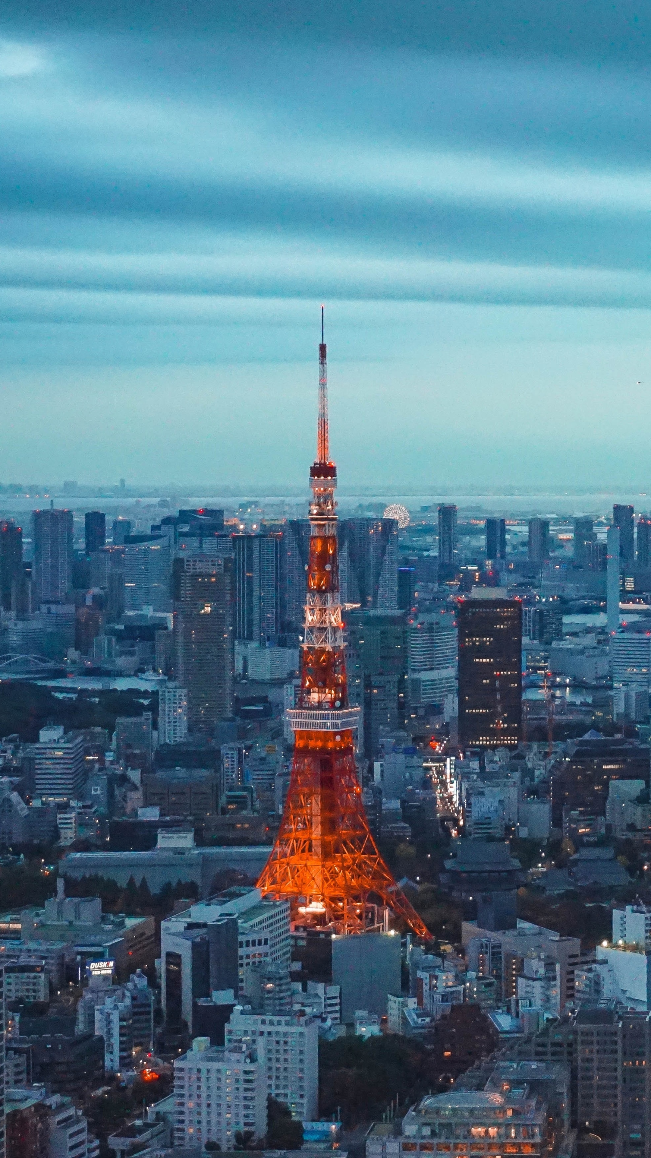 Tokyo Skyline, Tokyo Tower, Iconic landmark, Captivating imagery, 2160x3840 4K Handy