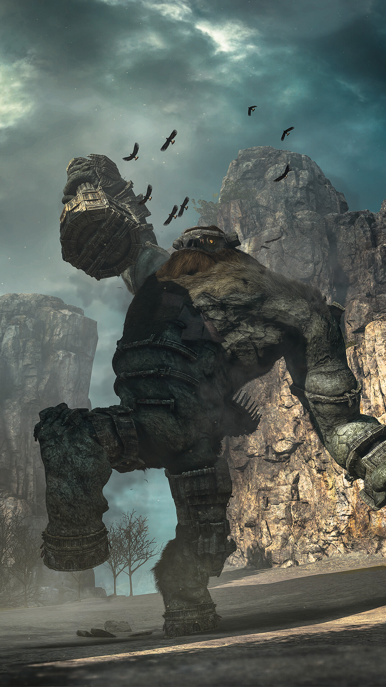 Shadow of the Colossus: Valus, The fourth-shortest of all the colossi. 1250x2210 HD Background.