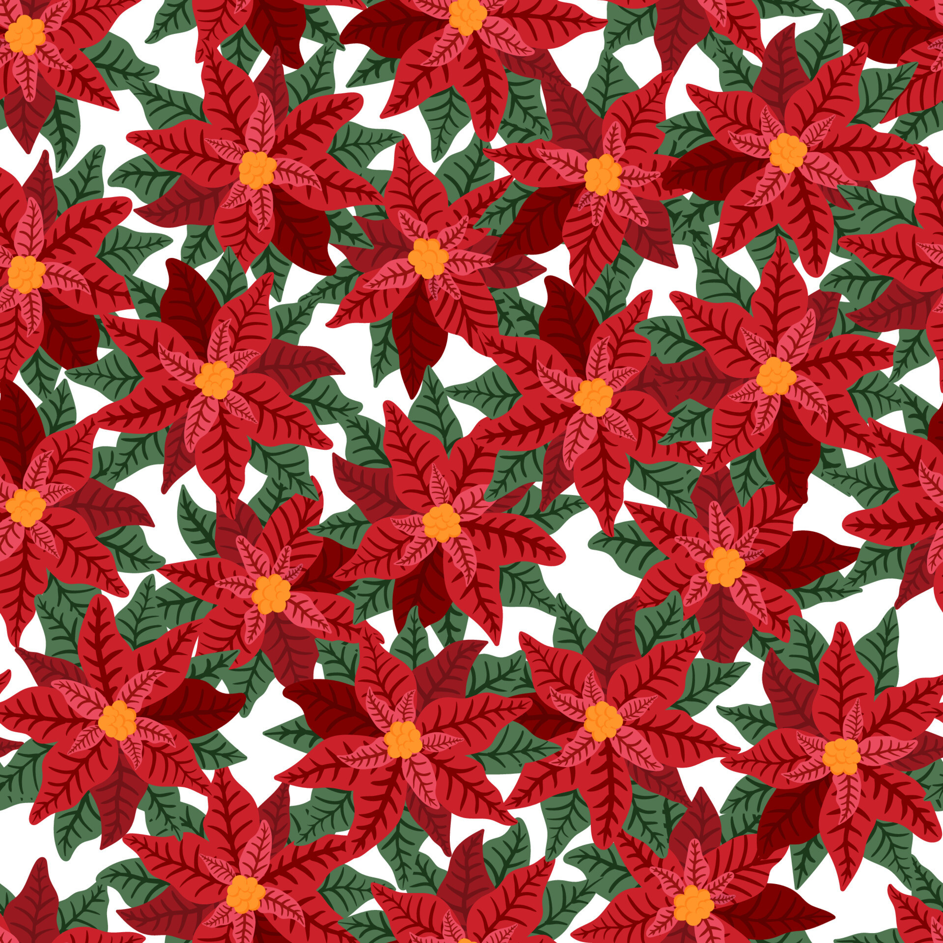 Poinsettia: Red star flower, Christmas or New Year decoration, Pattern. 1920x1920 HD Wallpaper.