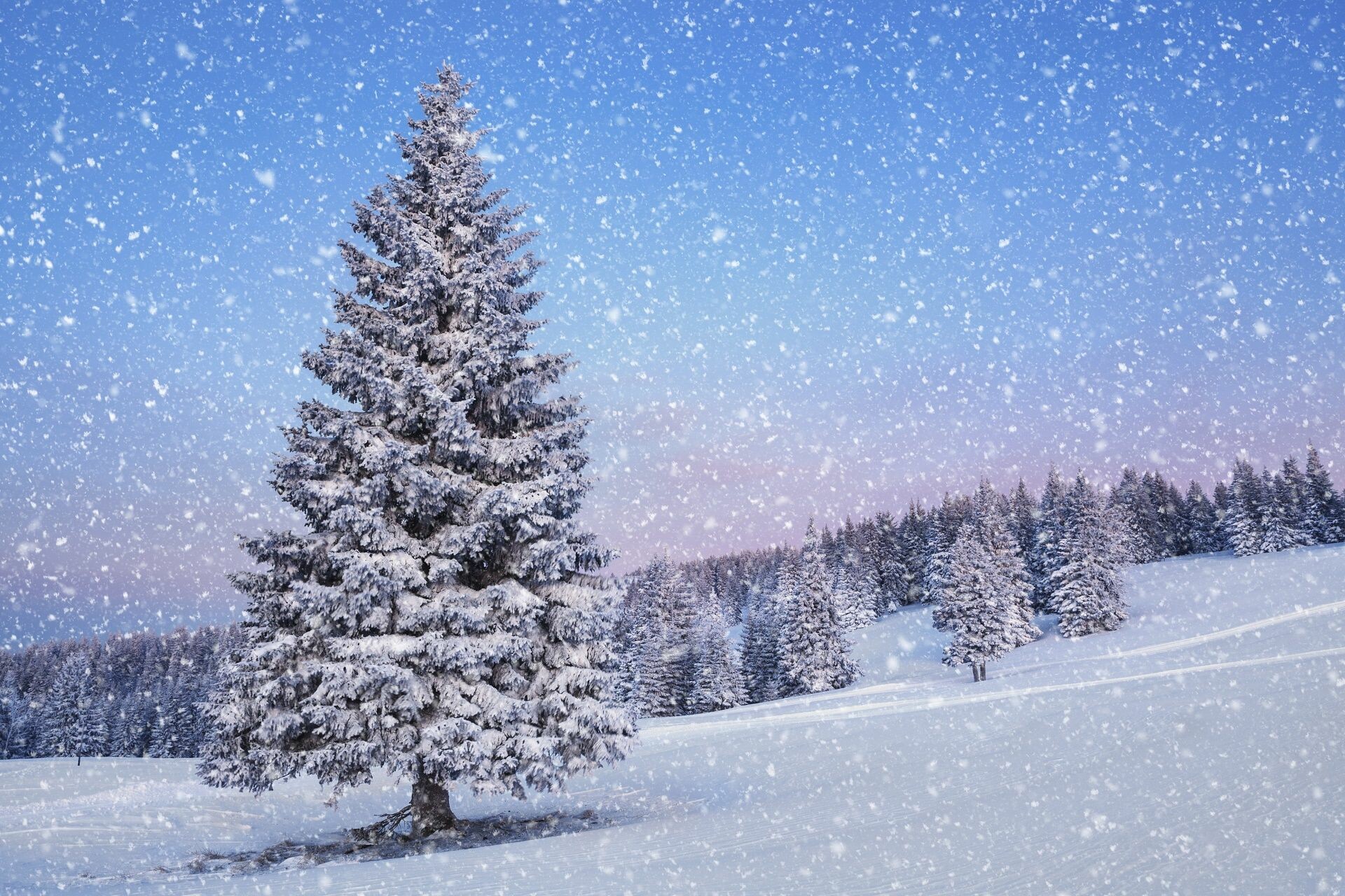 Snowfall: Forms when water vapor in the atmosphere freezes into ice crystals. 1920x1280 HD Background.