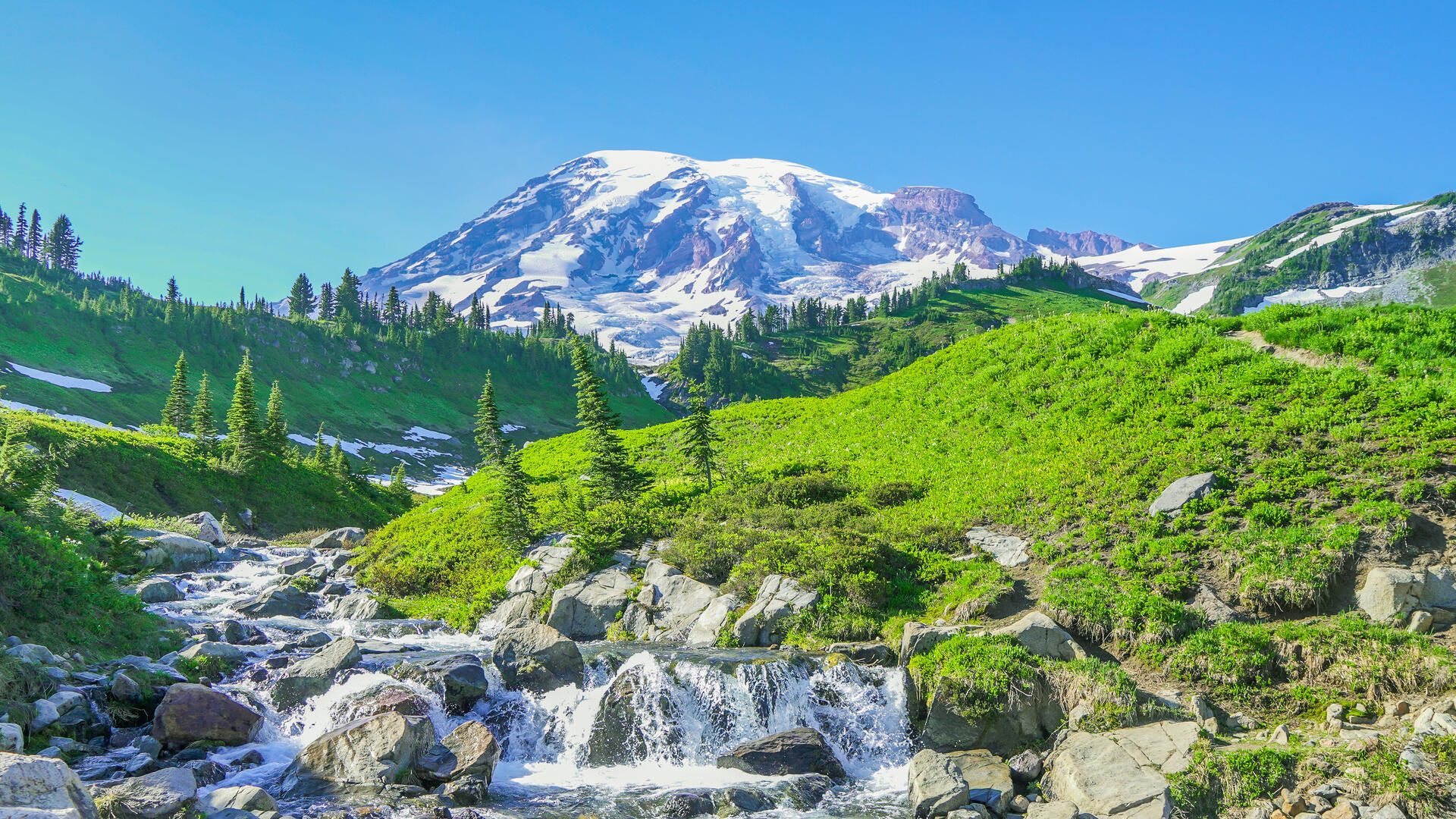 Mount Rainier National Park, Nature's beauty, Majestic mountain, Tranquil forest, 1920x1080 Full HD Desktop