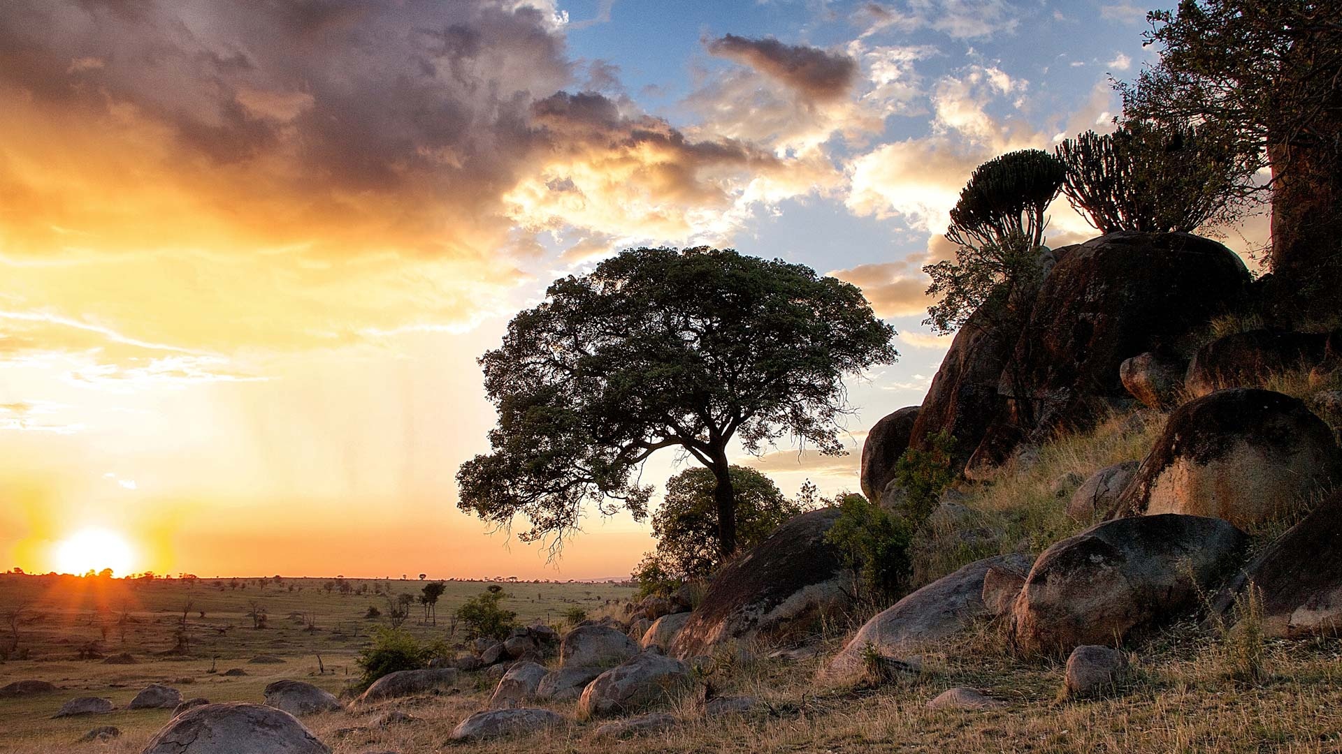 Serengeti National Park, Safaris and expeditions, Wildlife conservation, African wilderness, 1920x1080 Full HD Desktop