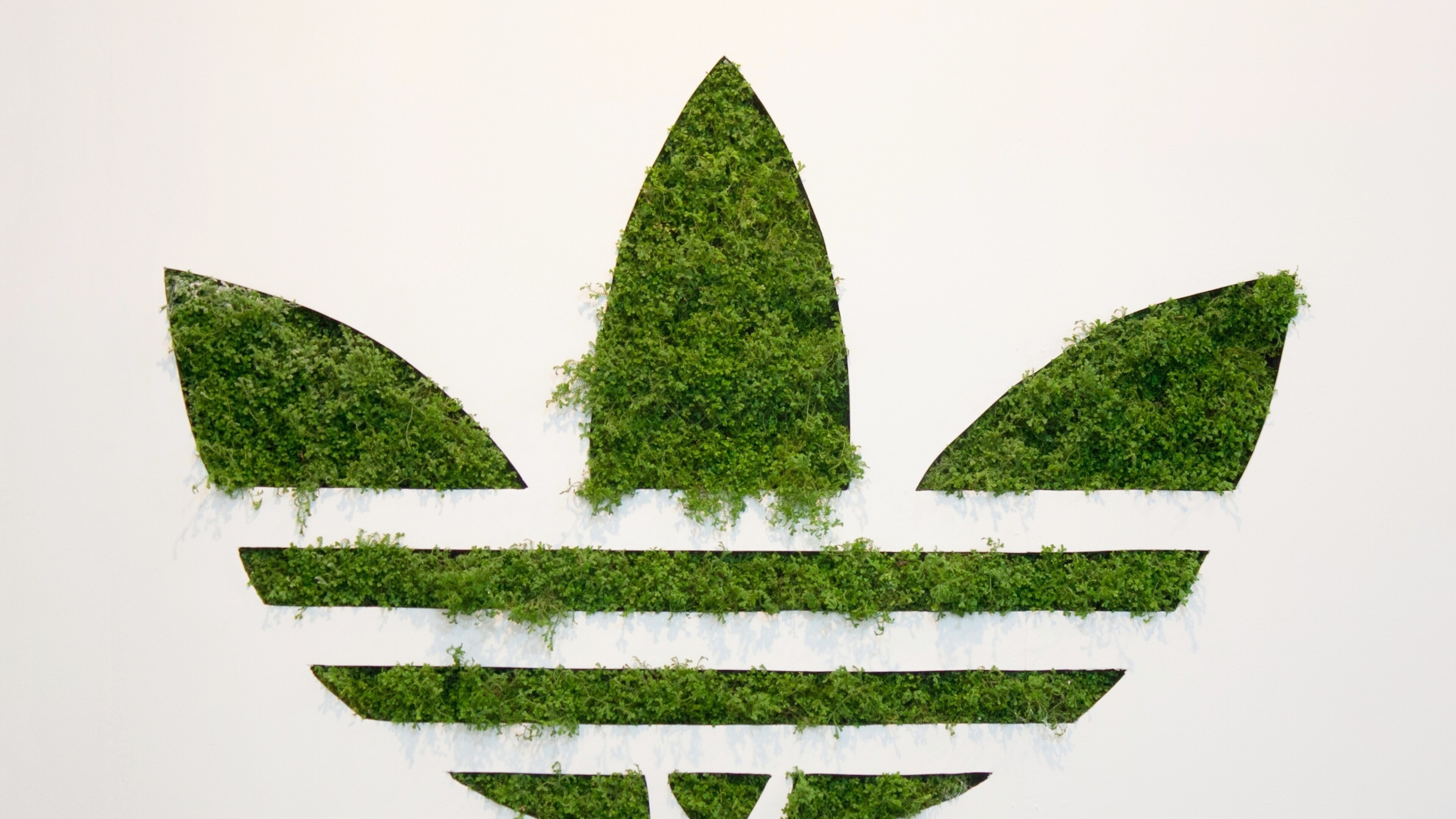 Adidas, Grass logo, HD wallpapers, Unique and stylish, 3840x2160 4K Desktop