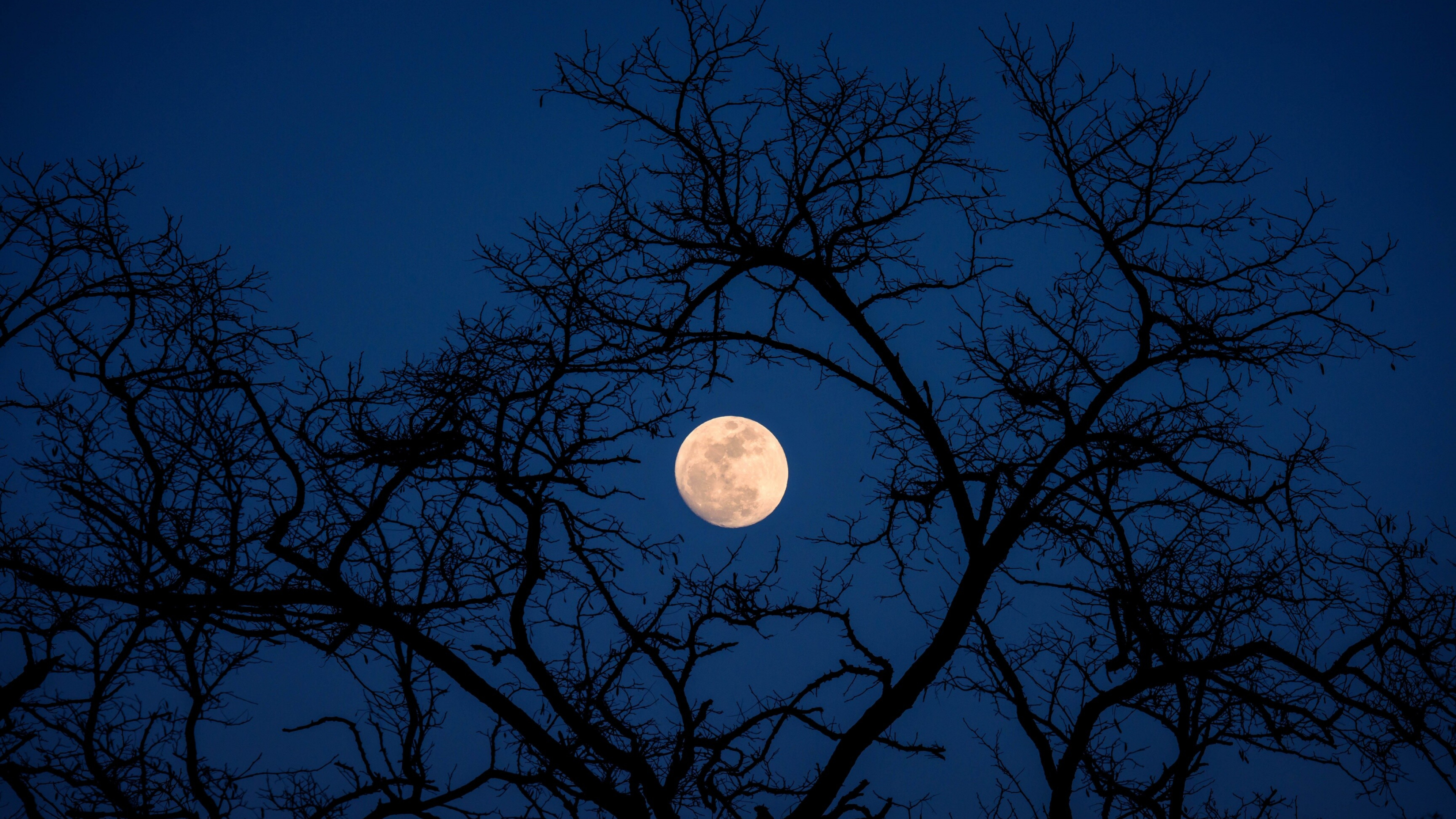 Moon: Nighttime, Darkening skies, Astronomical object. 3840x2160 4K Wallpaper.