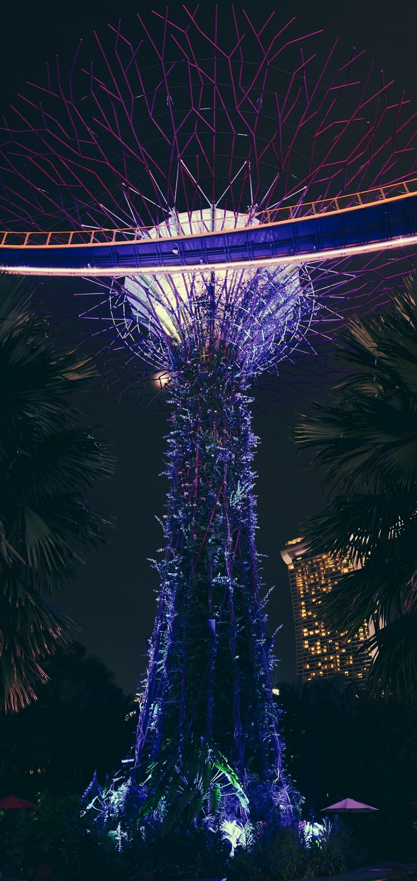 Singapore: Supertree Grove, Gardens by the Bay, One of the most iconic and recognizable attractions. 1440x3040 HD Background.