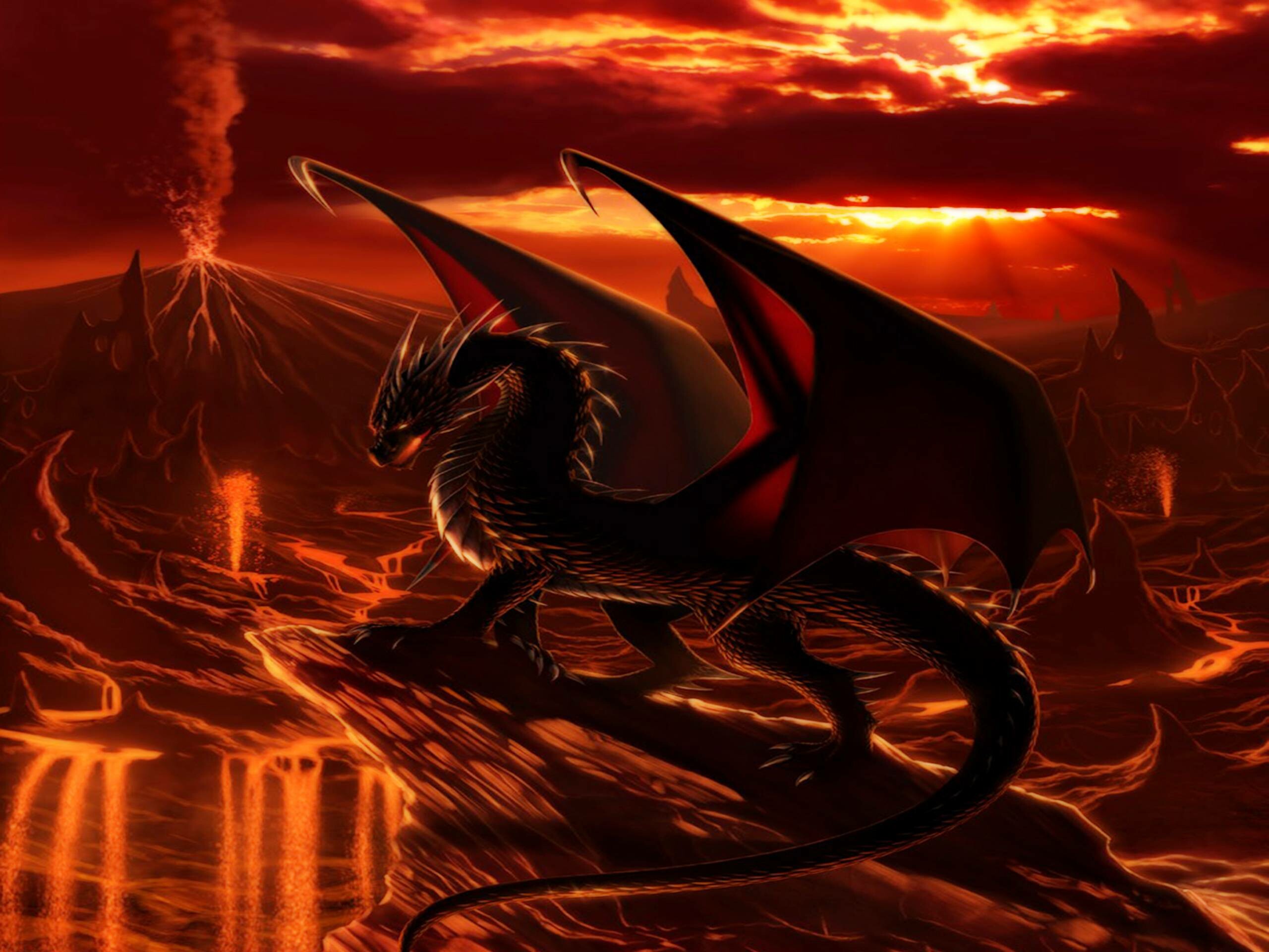 Dragon: Vertebrate, Mythical creature, Reptilian. 2560x1920 HD Background.